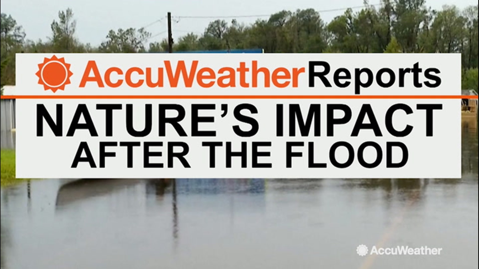 In mid-March, Nebraska was dealt a heavy blow to its agriculture industry due to flash flooding.  Bernie Rayno breaks down the total loss and impact from the flooding.