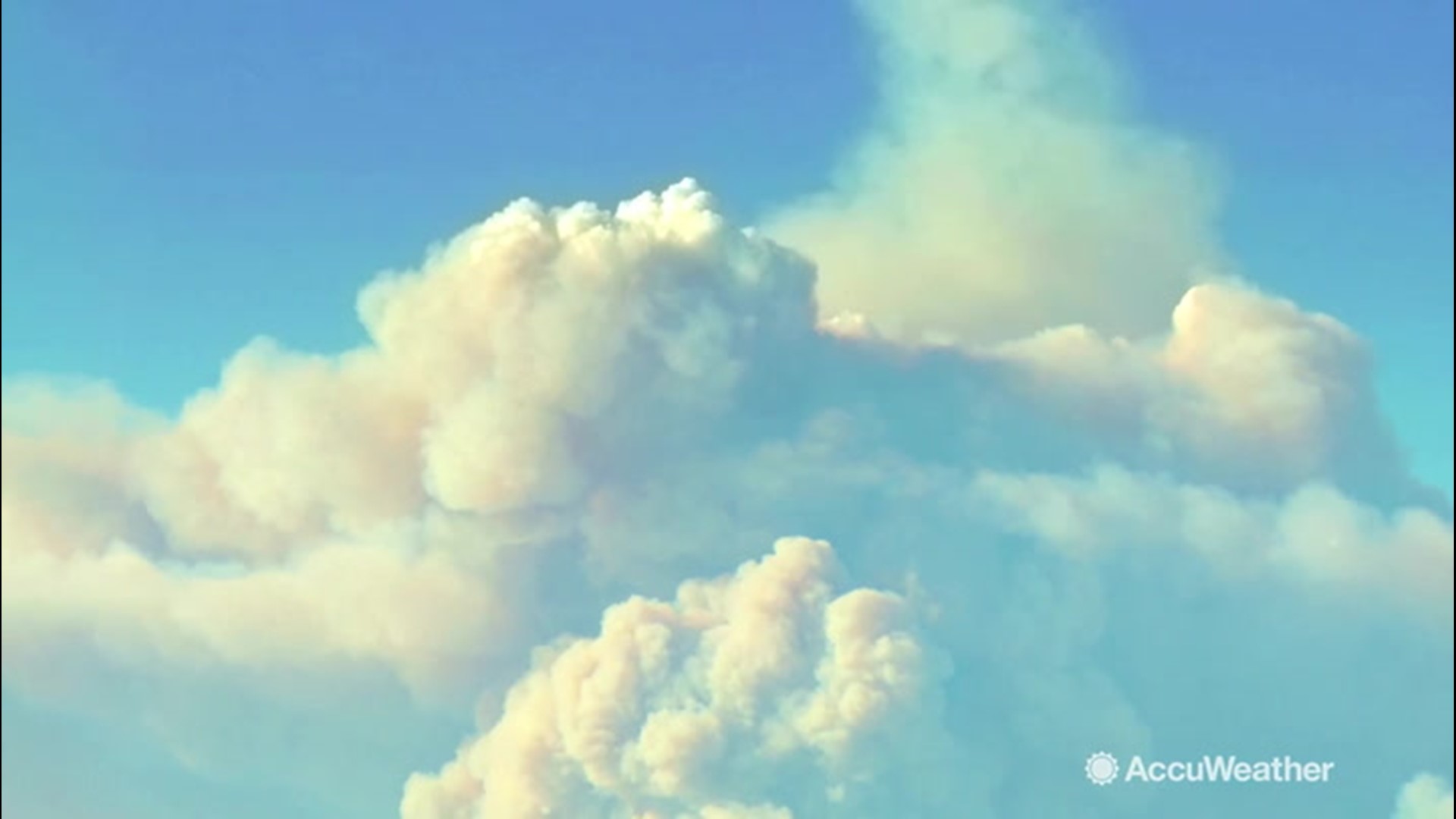 Did you know that wildfires can generate their own weather? How does it work? Let's find out.