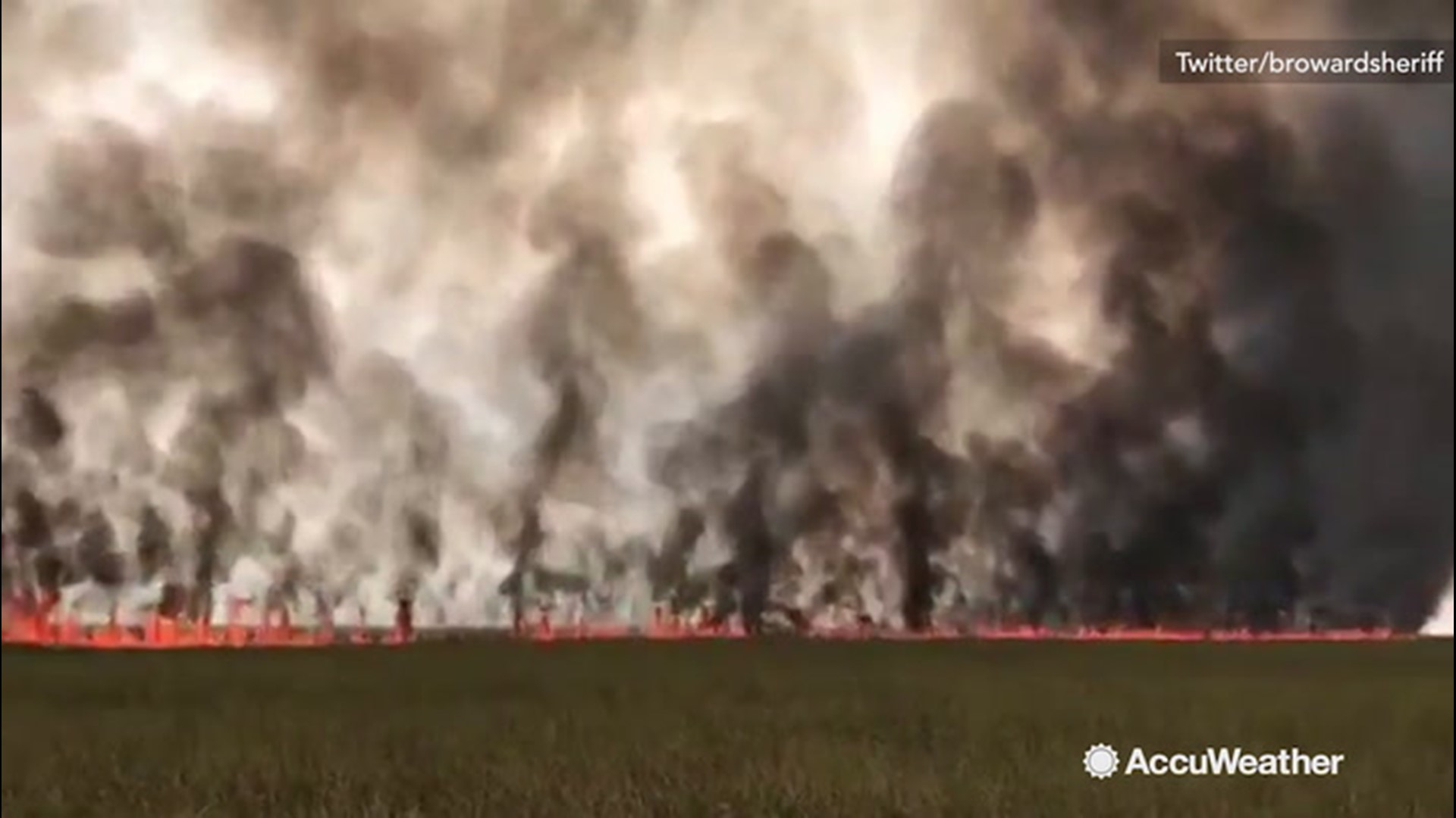 On Tuesday, June 25, lightning struck the Everglades in Broward County, Florida and caused a brush fire that consumed an estimated 31,500 acres of sawgrass.