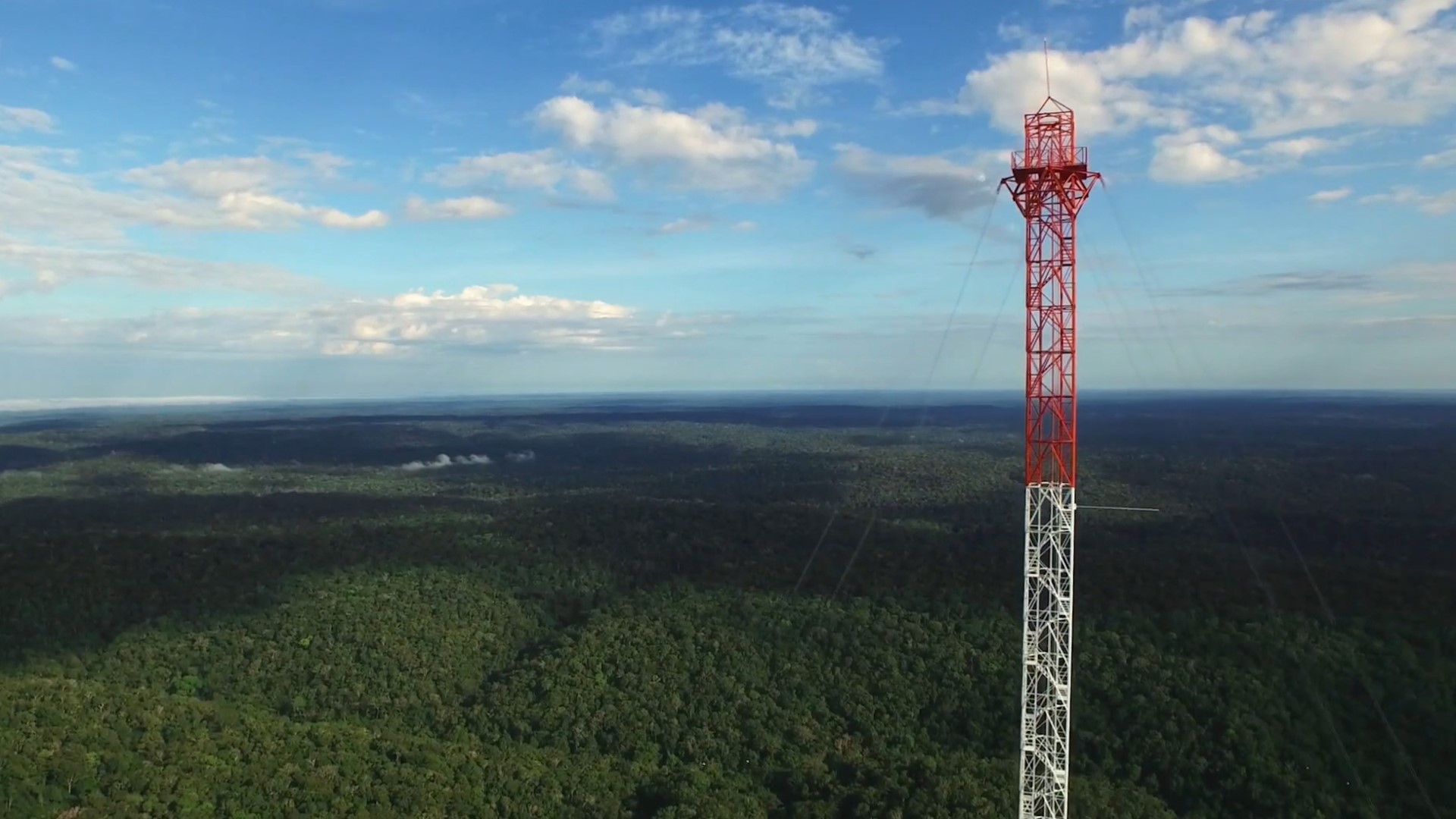 South America S Tallest Tower Stands In The Middle Of The Amazon Rainforest Wzzm13 Com