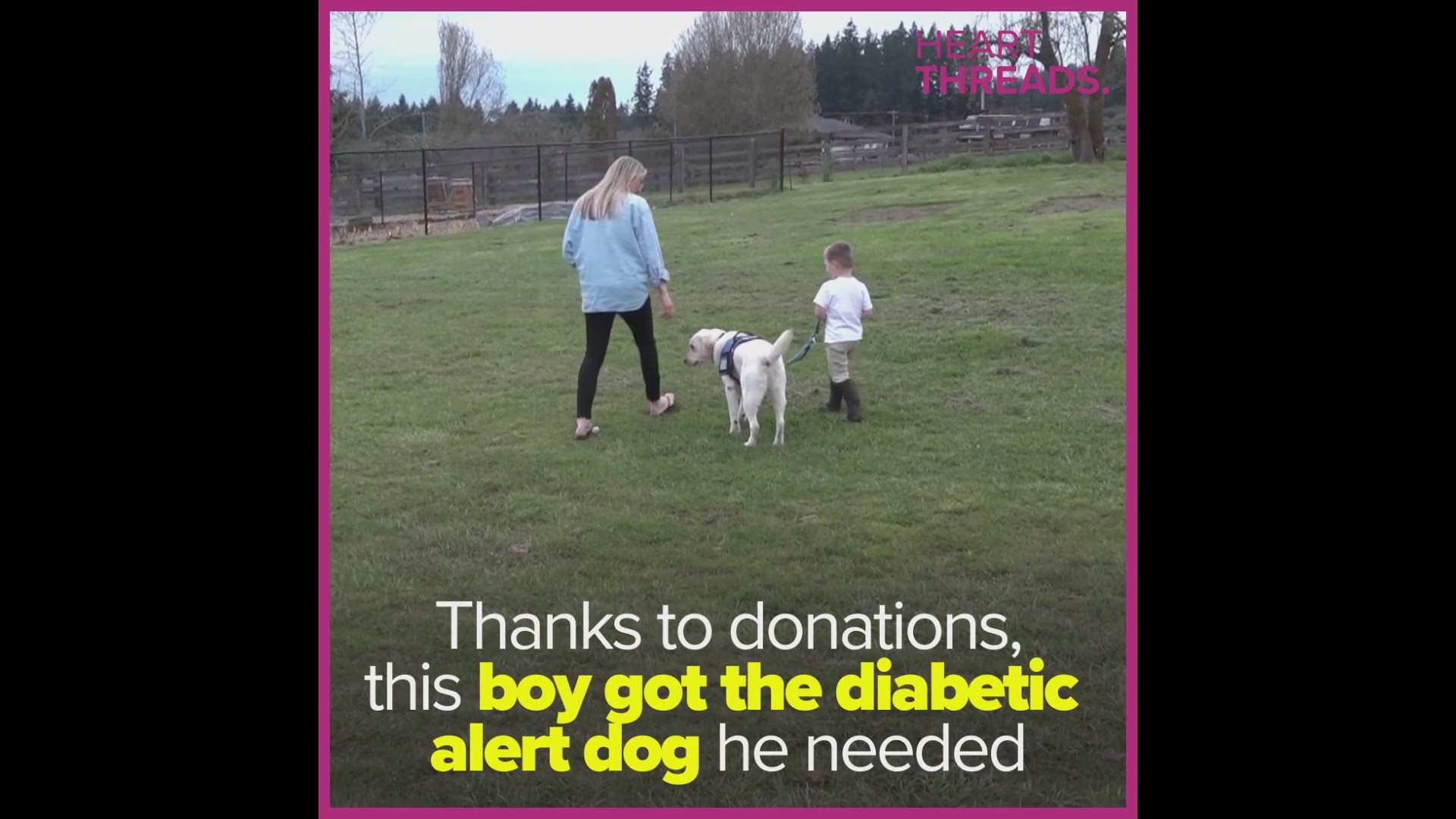 A little boy's community raised enough money for a diabetic alert dog to detect life-threatening changes in his blood sugar.