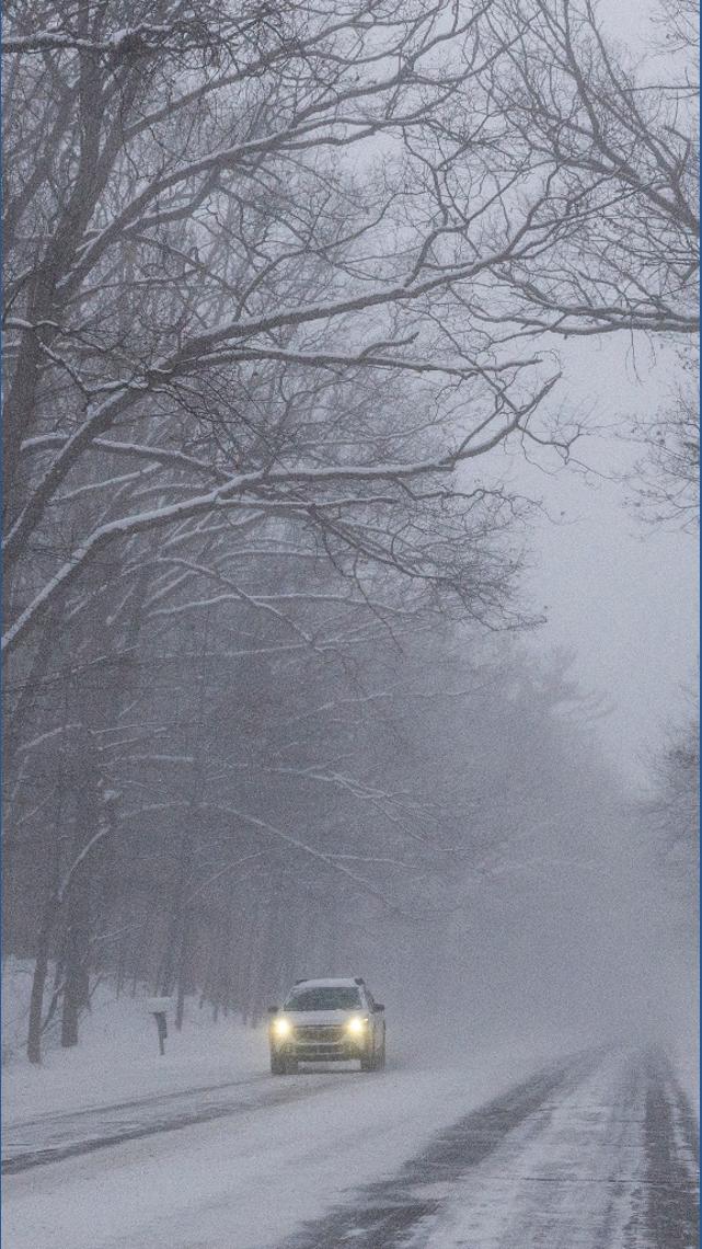 Can trees 'explode' during winter weather? | wzzm13.com