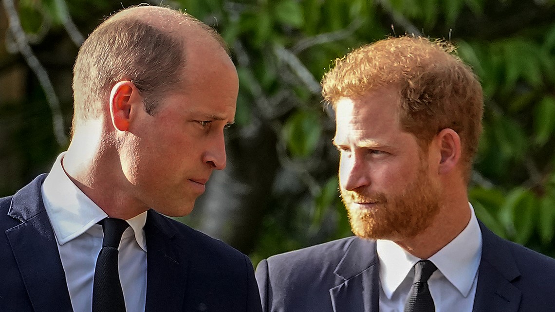 Prince Harry has brief visit with King Charles during London trip - Vimarsana News