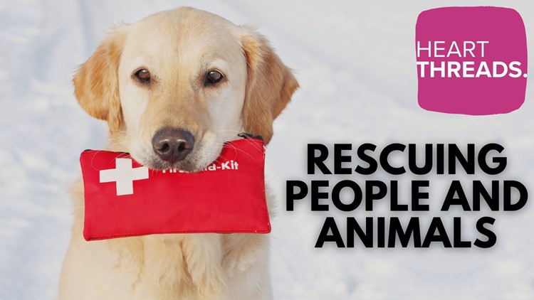 HeartThreads | Rescuing people and animals