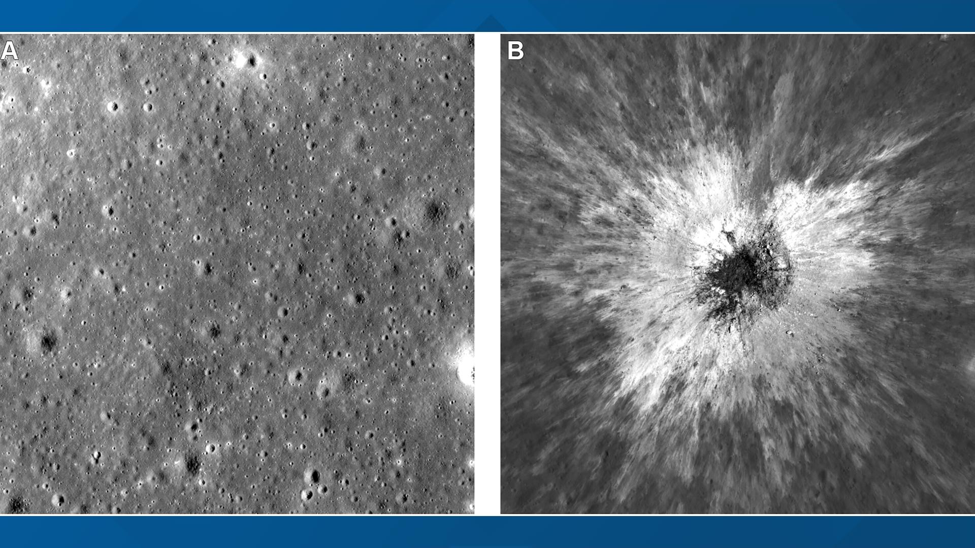I just stopped, dropped everything, and started looking' | NASA