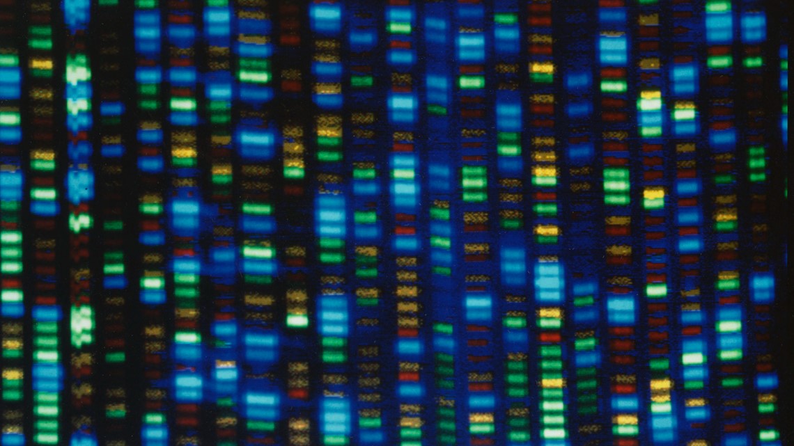 Human genome decoded fully | wzzm13.com - Vimarsana News