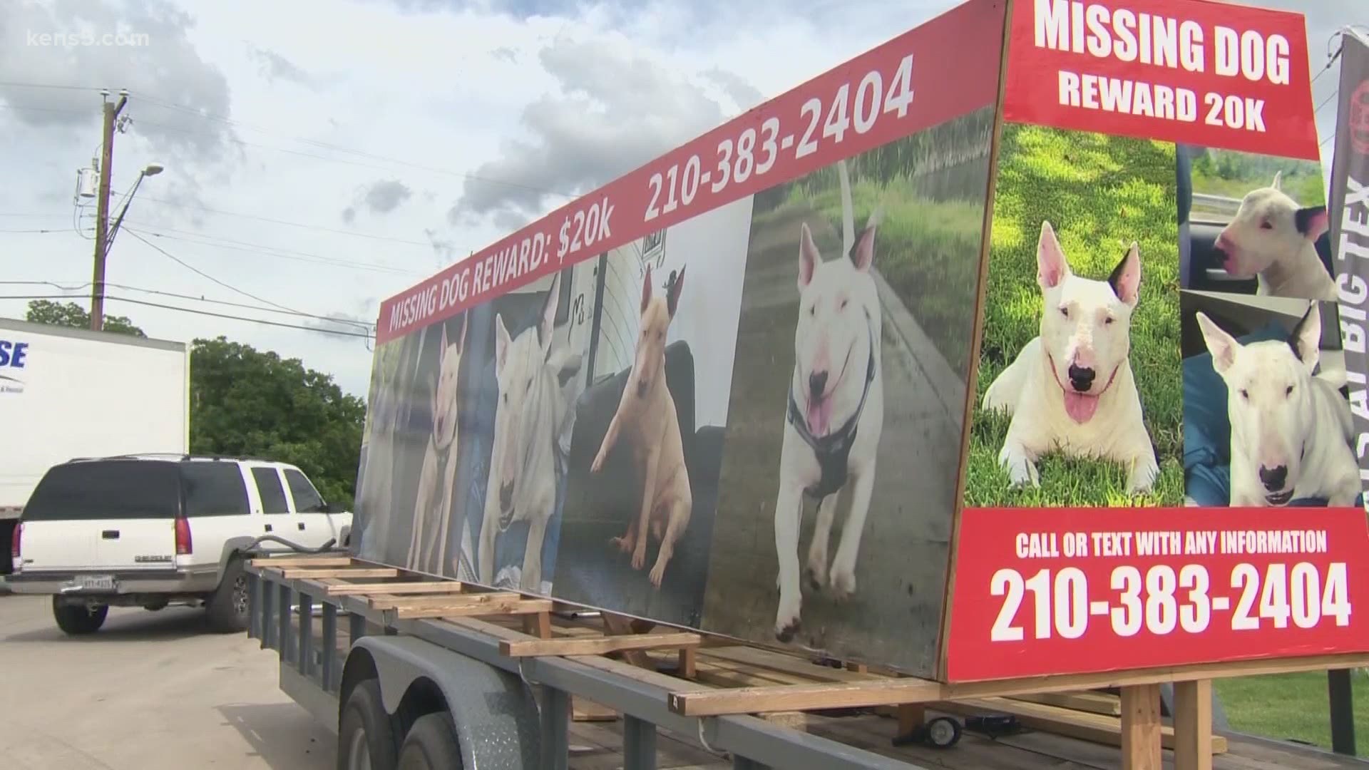 Roi Biton has been driving around with a 26-foot trailer covered in pictures of his pup, Golani.