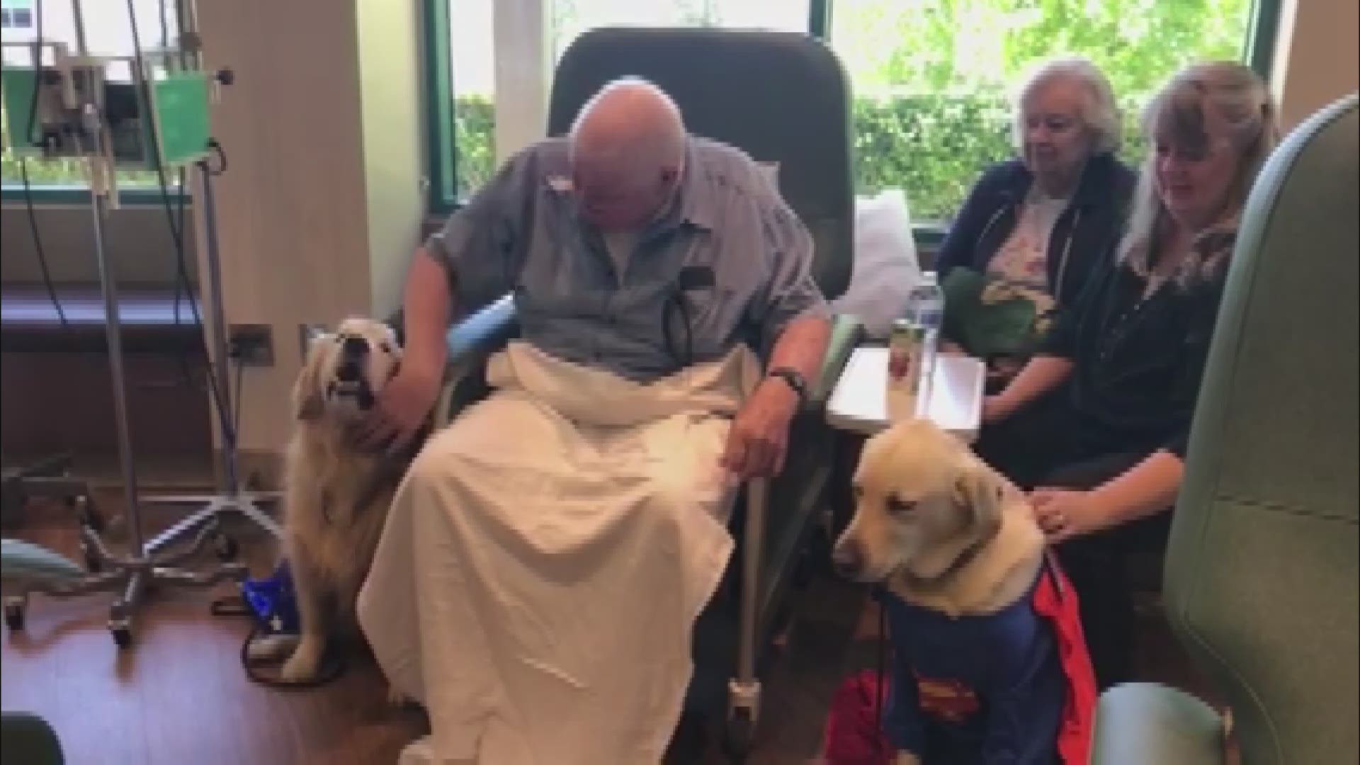 Therapy dogs in Halloween costumes deliver treats to cancer patients in La Mesa