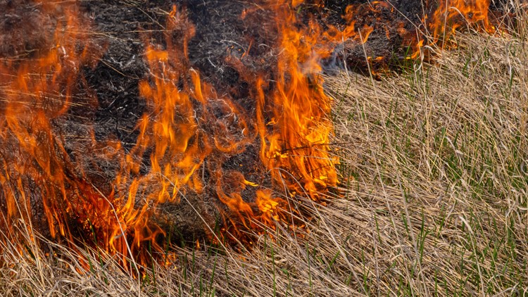 Burn restrictions issued for several counties in West Michigan