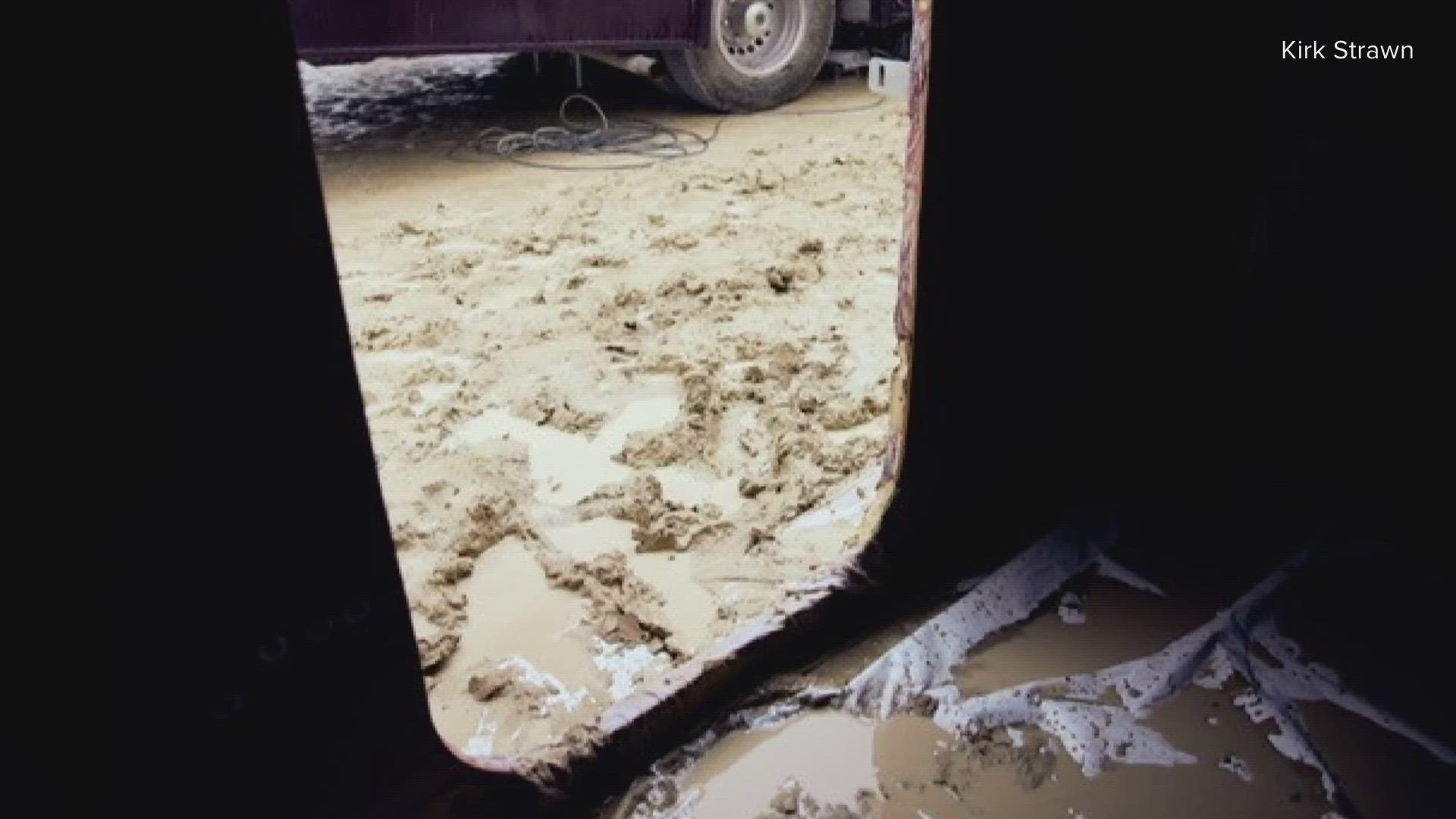 Avantgarde extreme 46