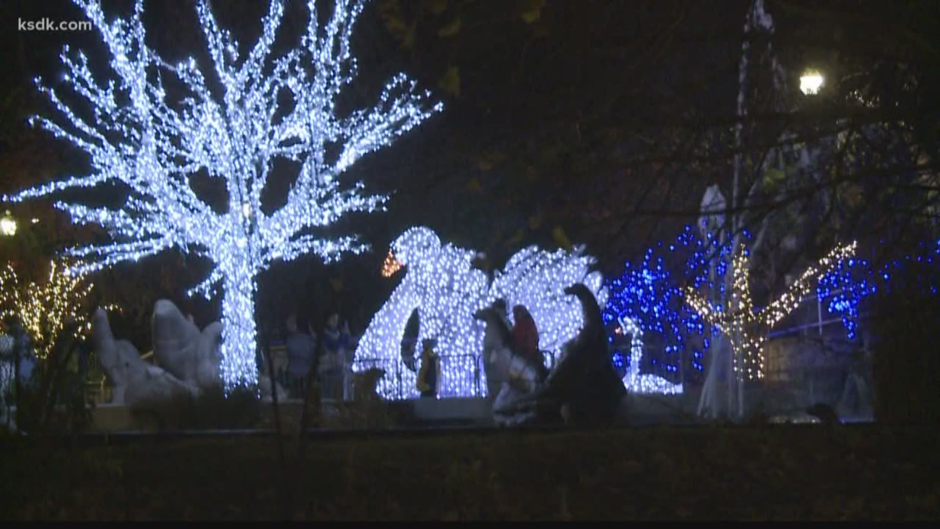 stl events | Wild Lights returns to the Saint Louis Zoo | 0