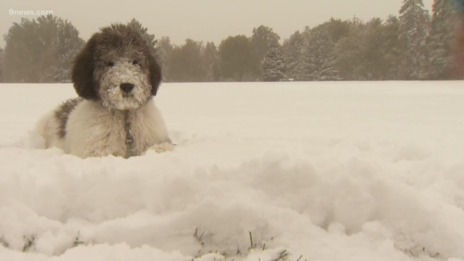 The first snow of the season created a slick morning commute across the Denver metro area.