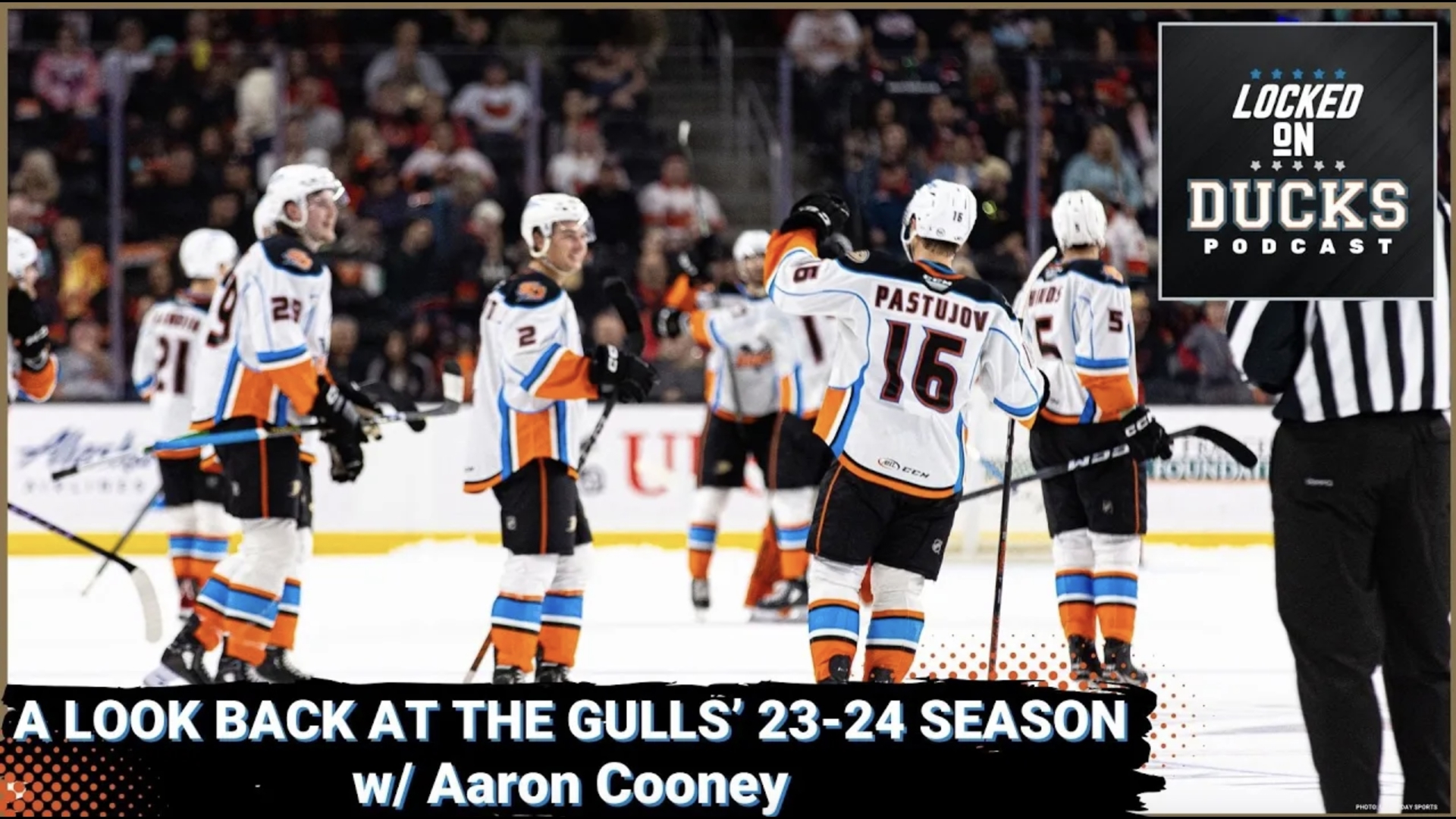 We have our season in review for the San Diego Gulls, and joining the podcast is a special guest! JD Hernandez is joined by Aaron Cooney