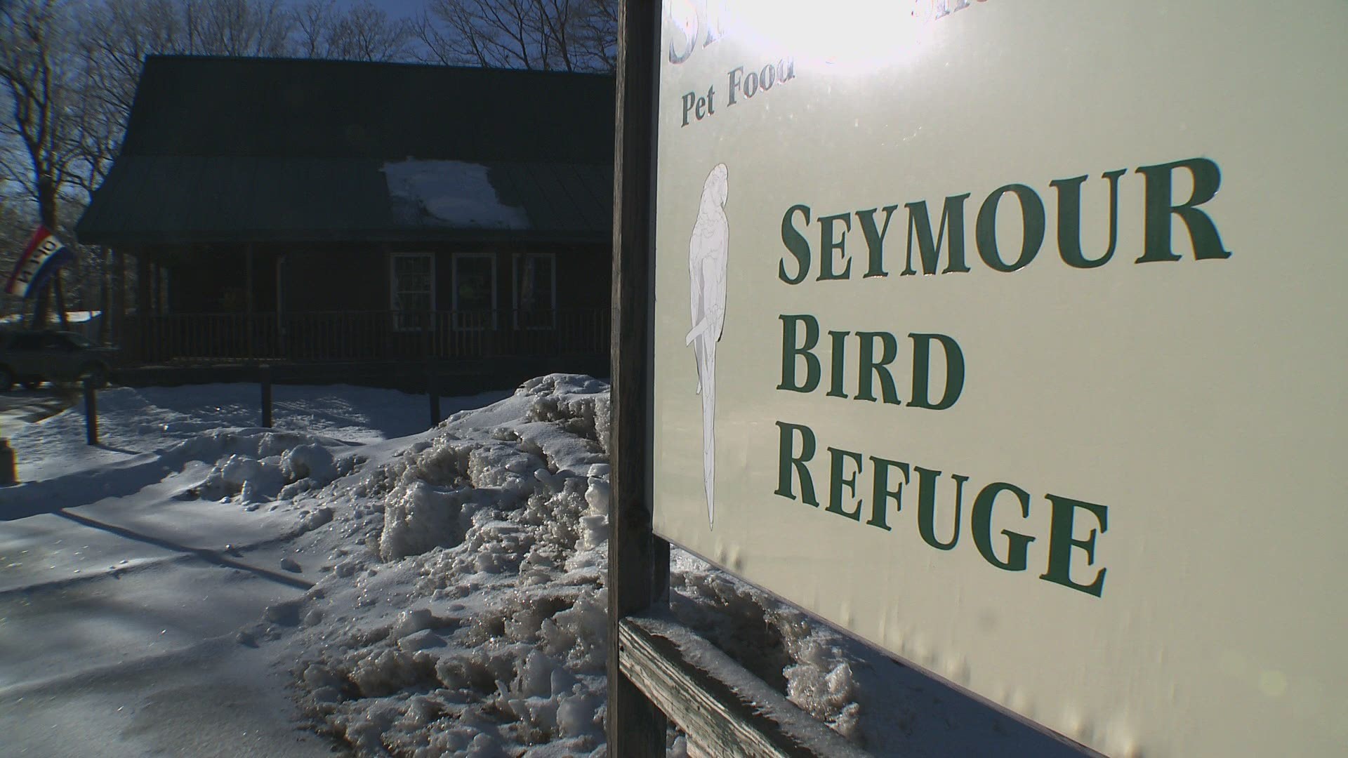 Owner Andrea Tims provides life-saving shelter to abandoned birds; now her volunteers are working to save her refuge in the pandemic.