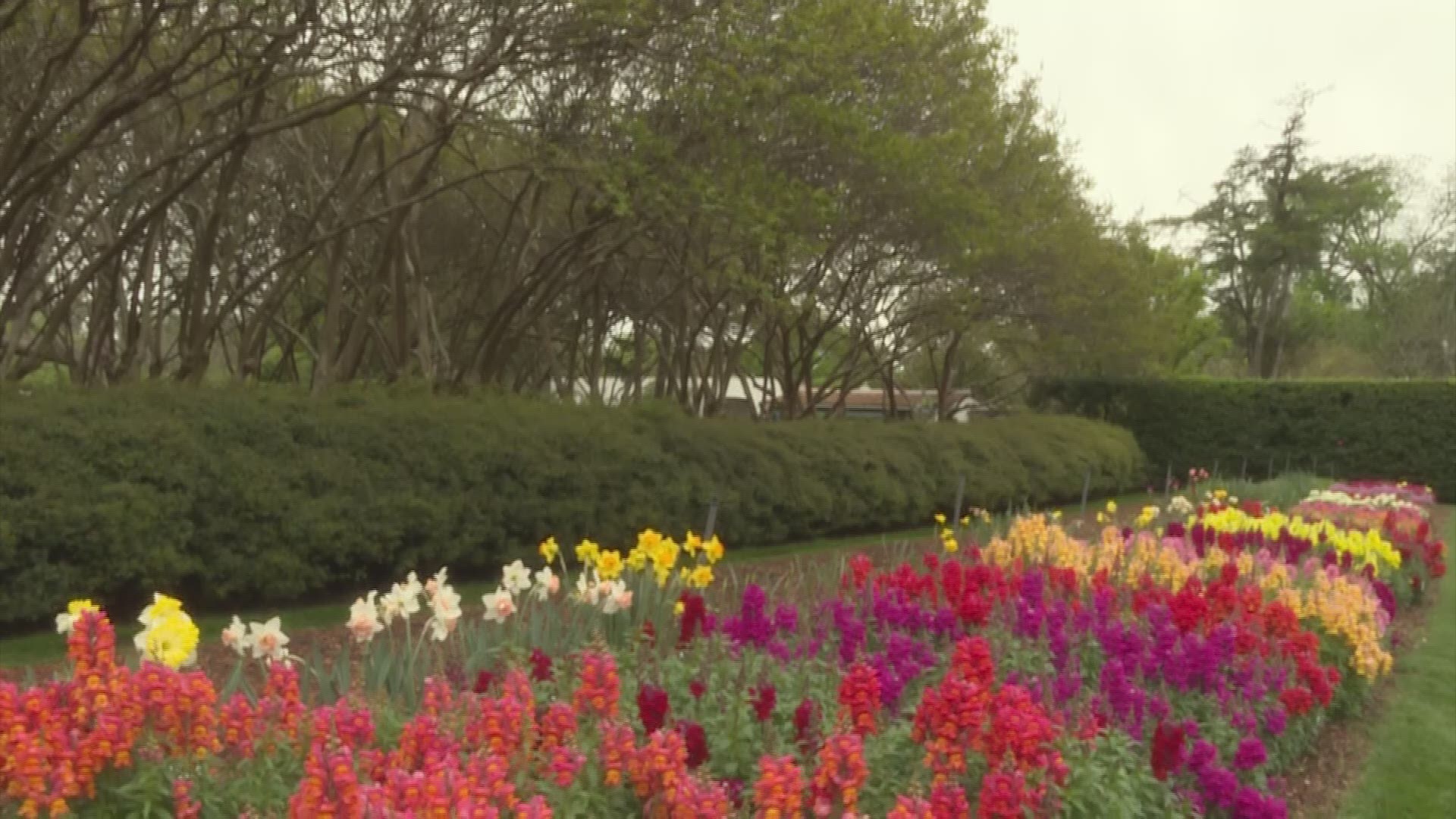 The spring weather is in full swing. People with allergies wonder if they can take their seasonal allergy medication and get a COVID-19 vaccine on the same day.