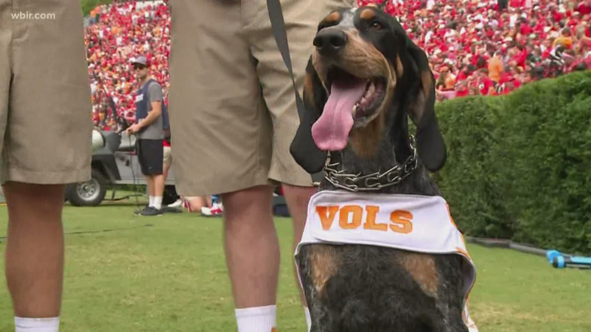 Maryville College history professor Dr. Aaron Astor explains how Clemson, Tennessee and LSU chose their mascots.