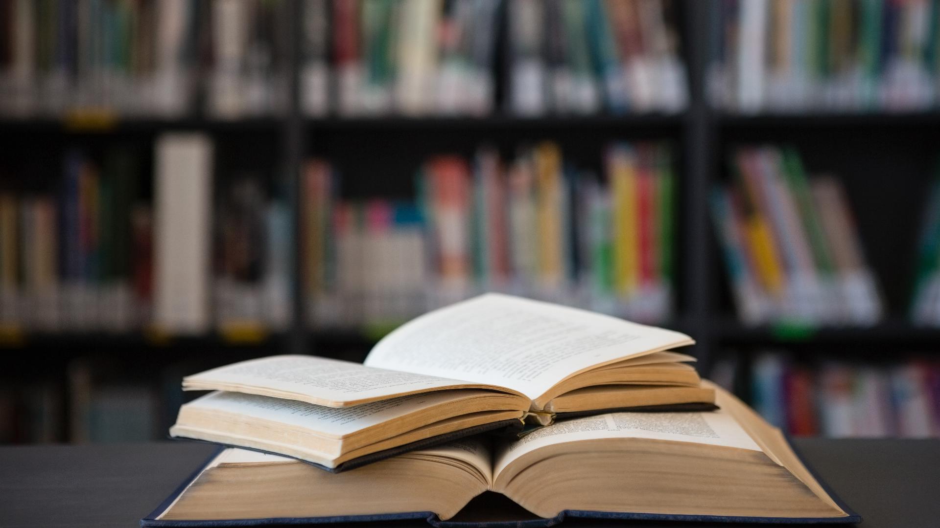 MI Right to Read, a six-month campaign, is one that the MLA says aims to inform community members and educate on how to push back against book restrictions.