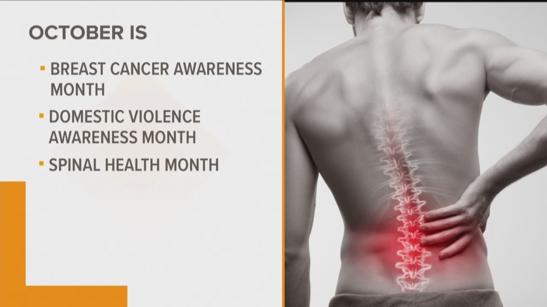 October is Spinal Health Month and a good time to  check in on your back pain.
