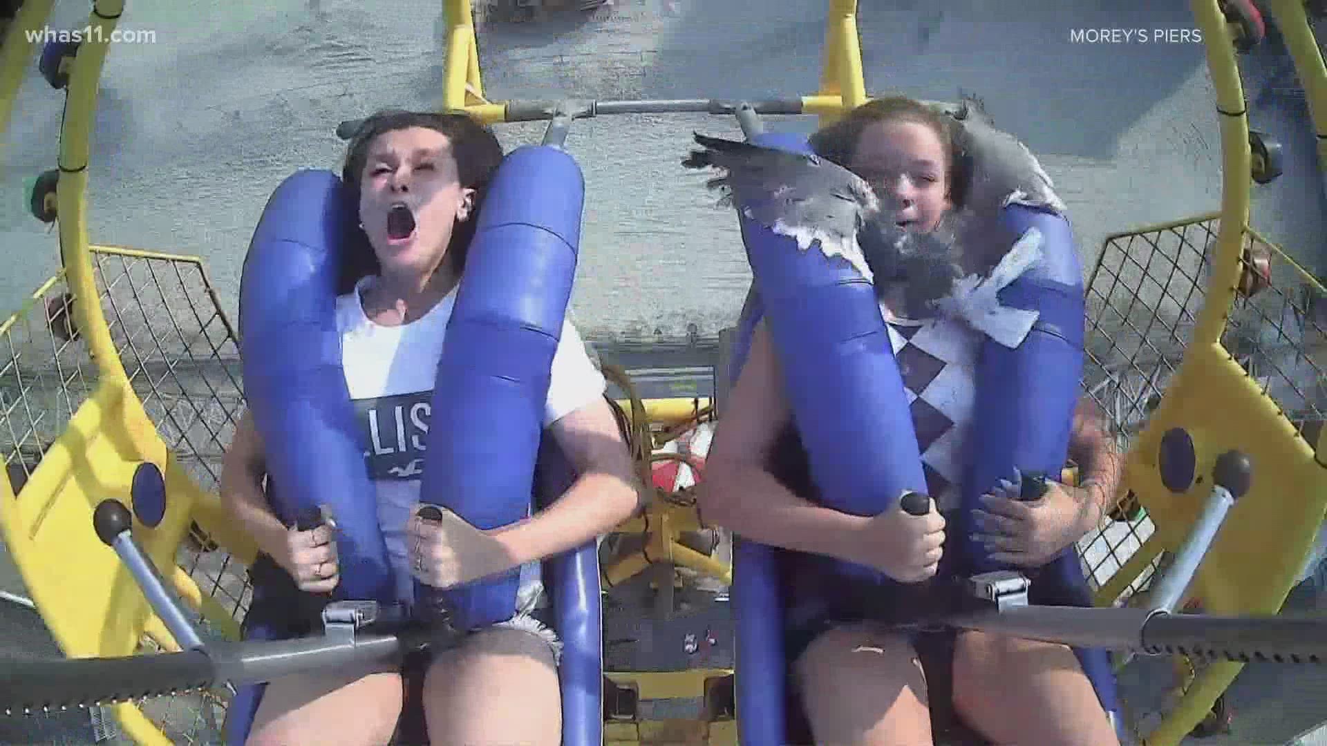The video captured by a camera at the park shows a seagull hitting the teen in the face shortly after the ride launches.