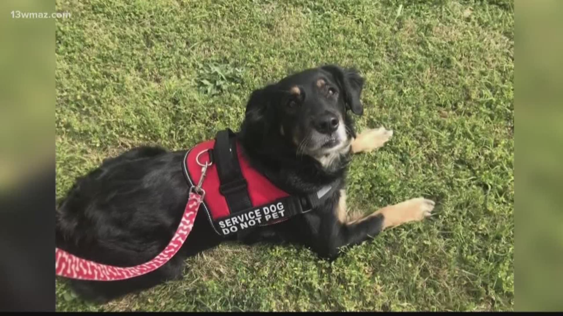 A Warner Robins woman is disappointed after she says some store employees asked her to leave because her service dog didn't have a marked vest.