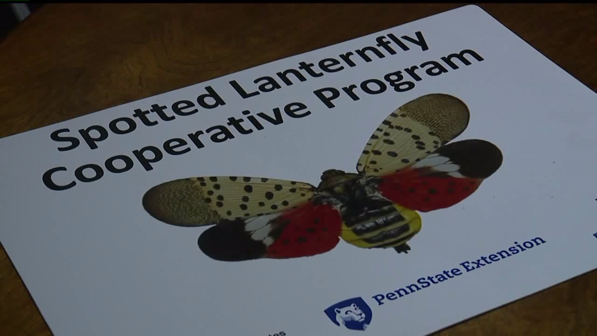 Tackling invasive west in PA like the `Spotted Laternfly"