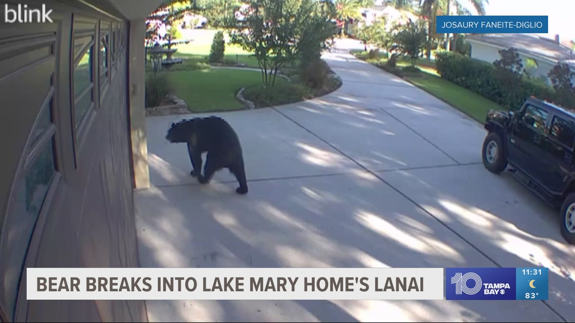 Other than damaging the pool cage screening, the bear rummaged through the family's refrigerator outside which was captured on video.