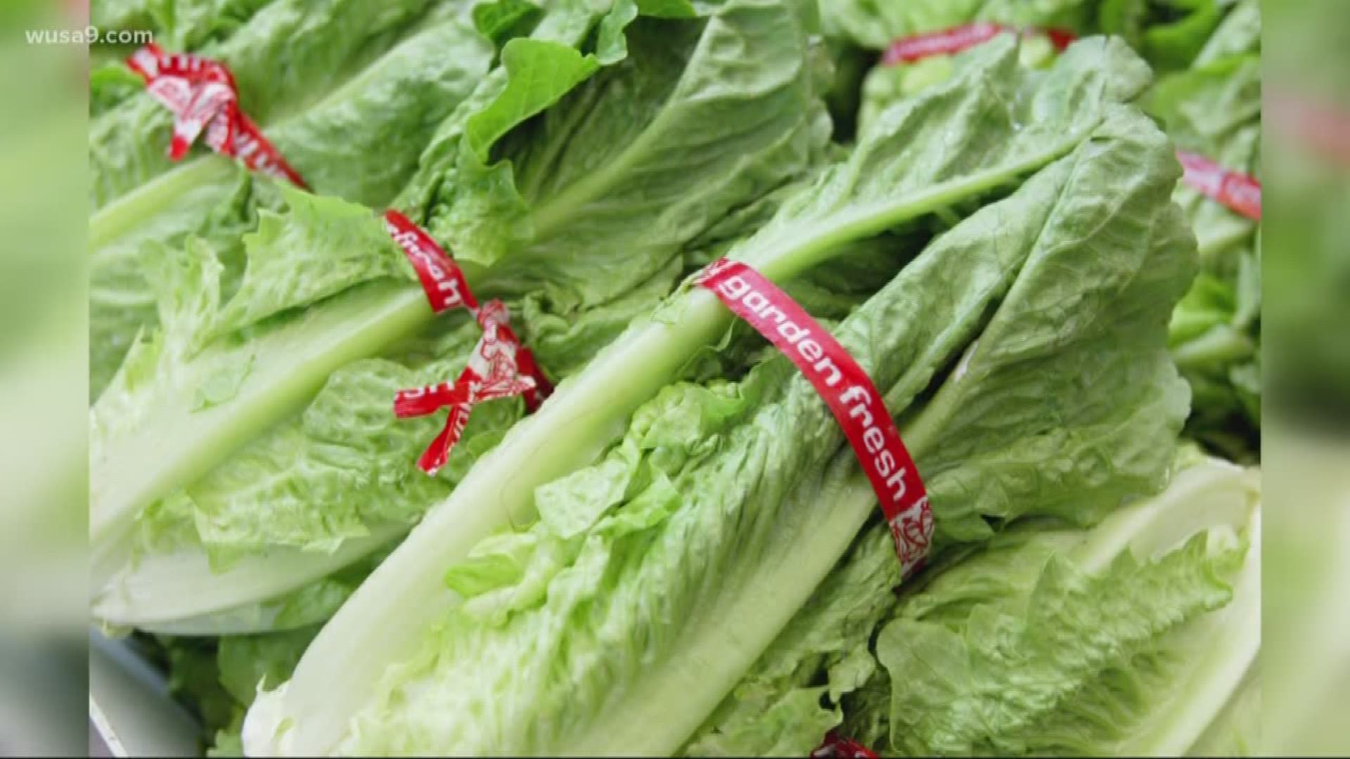 Meijer, Kroger say they now have romaine lettuce that is safe to eat