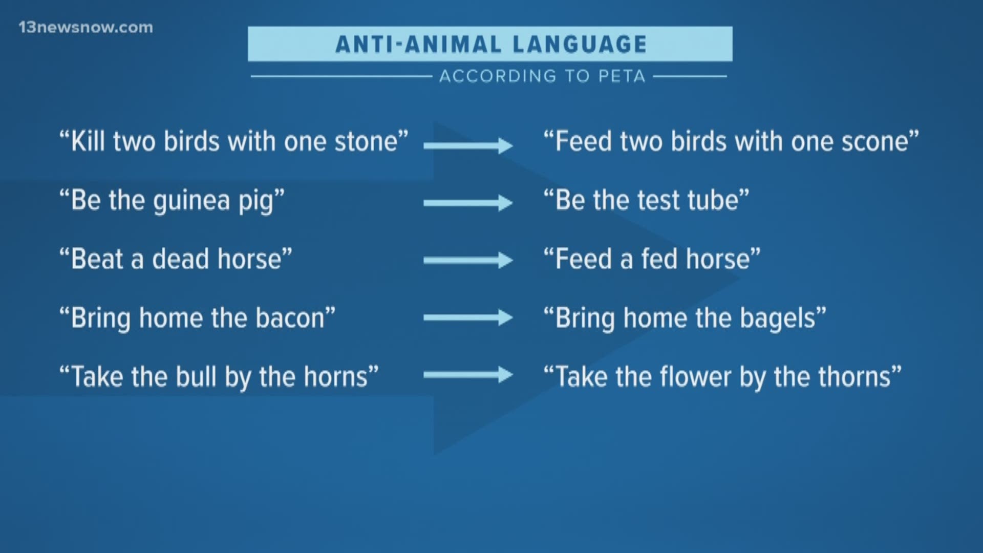 PETA is trying to get people to change the common phrases used in almost everyday language.