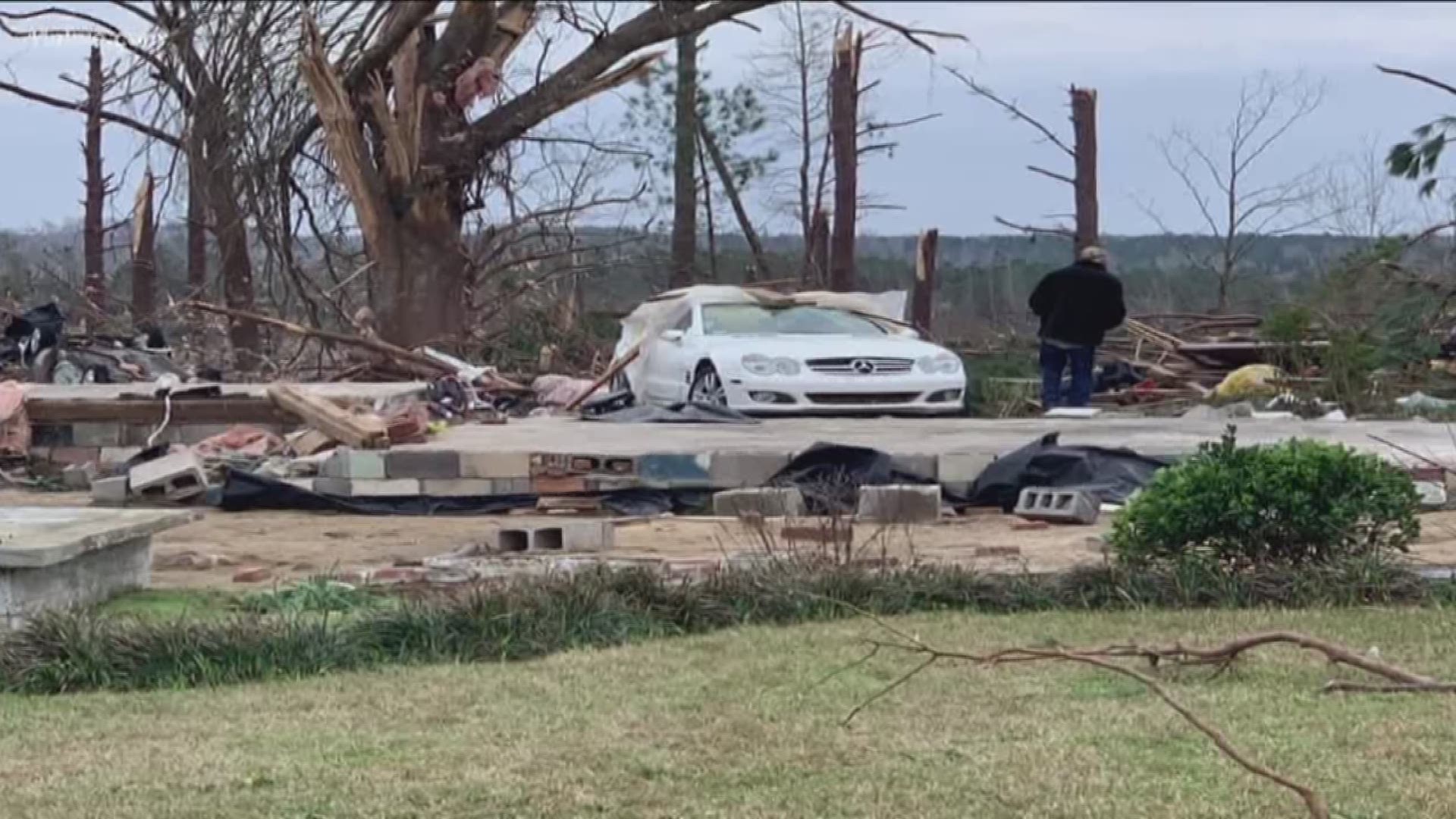 There are acres of splintered trees where the wind was so strong it snapped them in half.