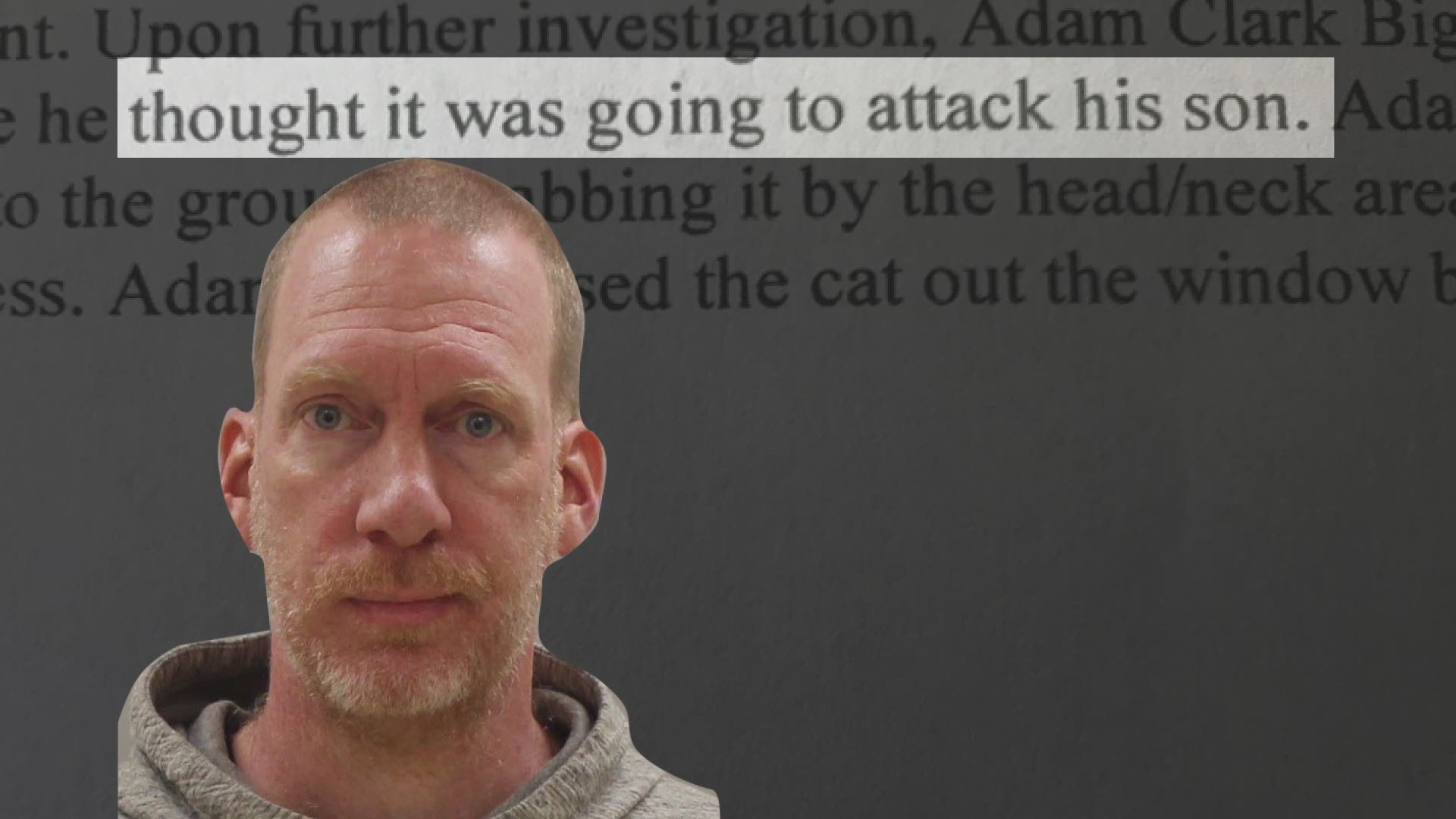 Adam Bigham said he was defending his family “by throwing the cat to the ground’’ and kneeling on its stomach “until it went lifeless,’’ court records show.