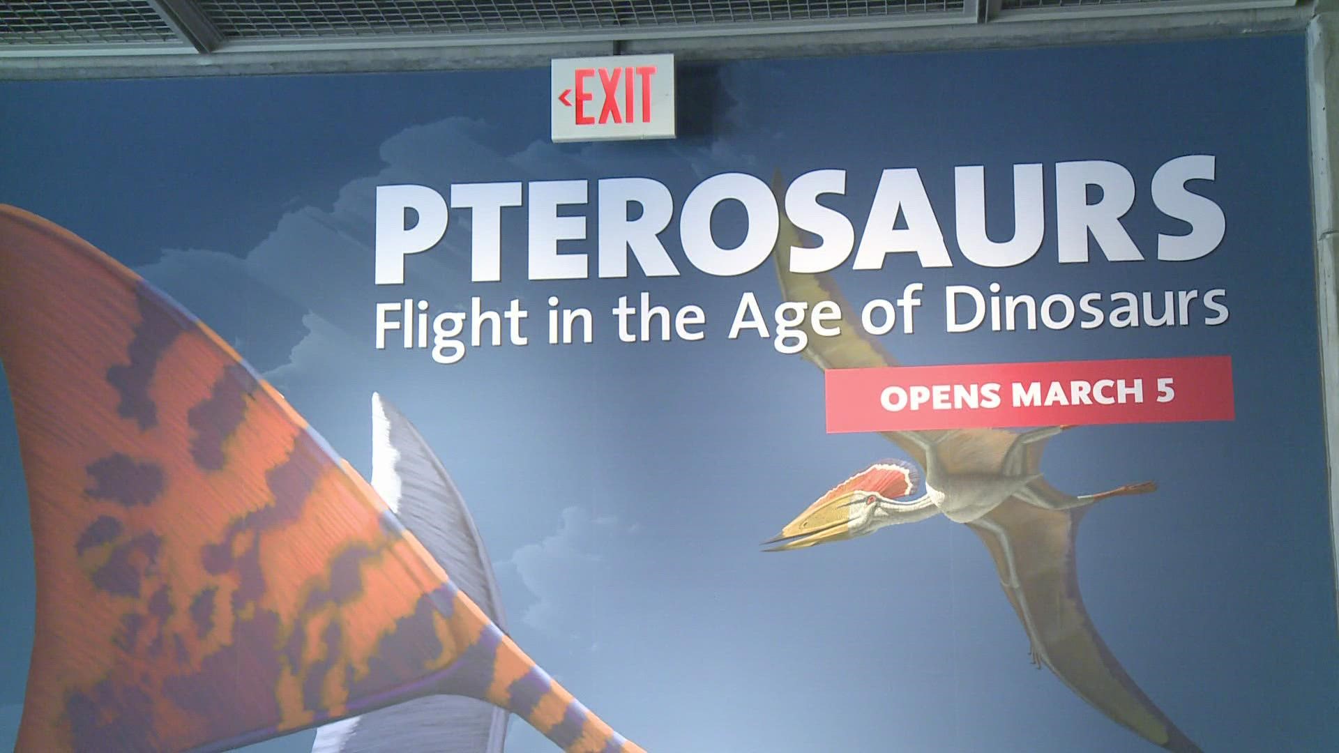 Pterosaurs: Flight in the Age of Dinosaurs highlights research done by scientists about more than 150 species of pterosaurs.