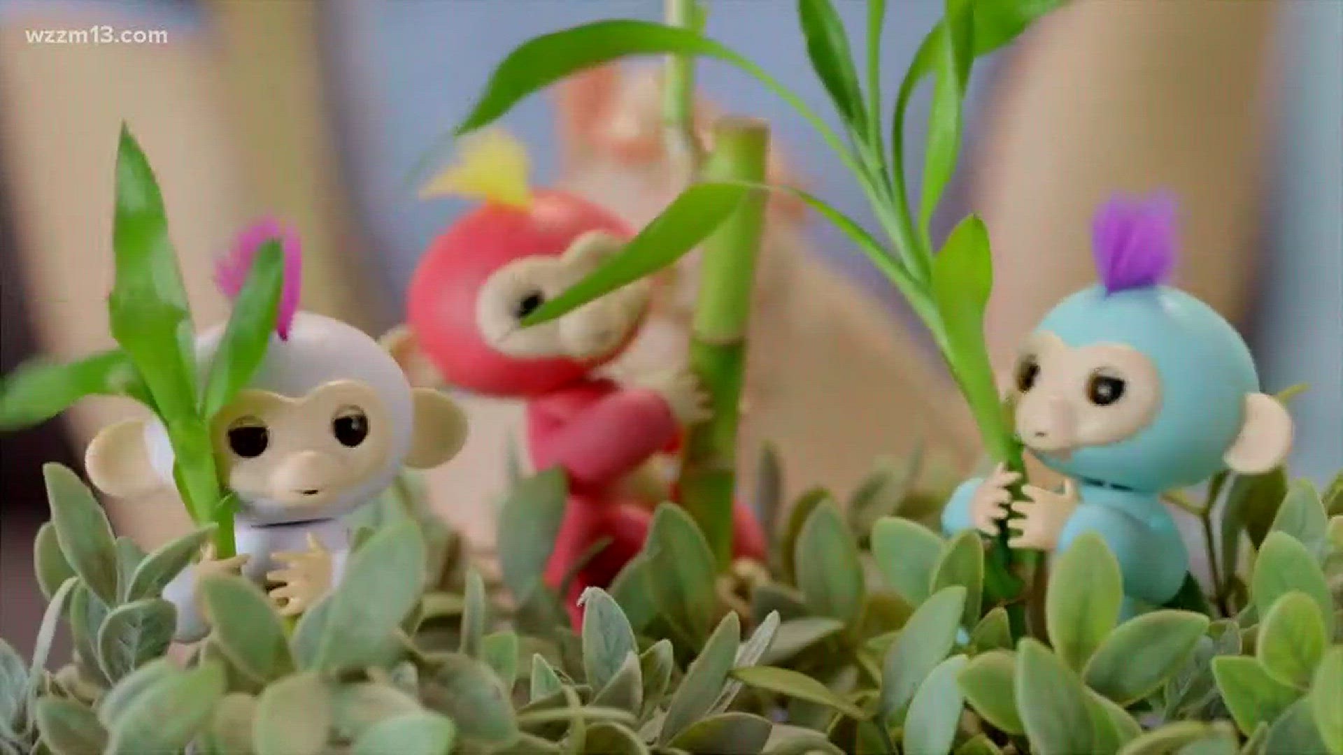 How to avoid buying fake Fingerlings, one of the season's hottest toys
