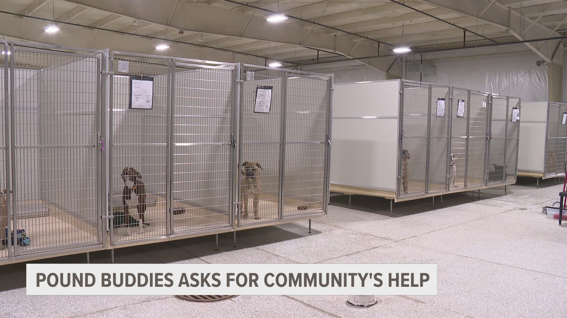 The shelter's executive director says they've received more than 100 animals in the first three months of the year.