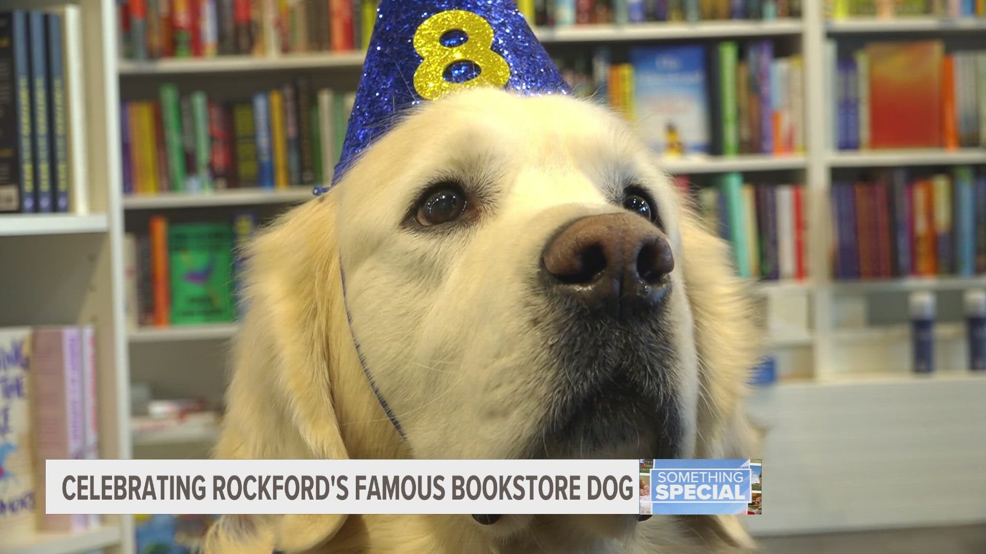 Epilogue Books has a famous employee — Tommy the book store dog.