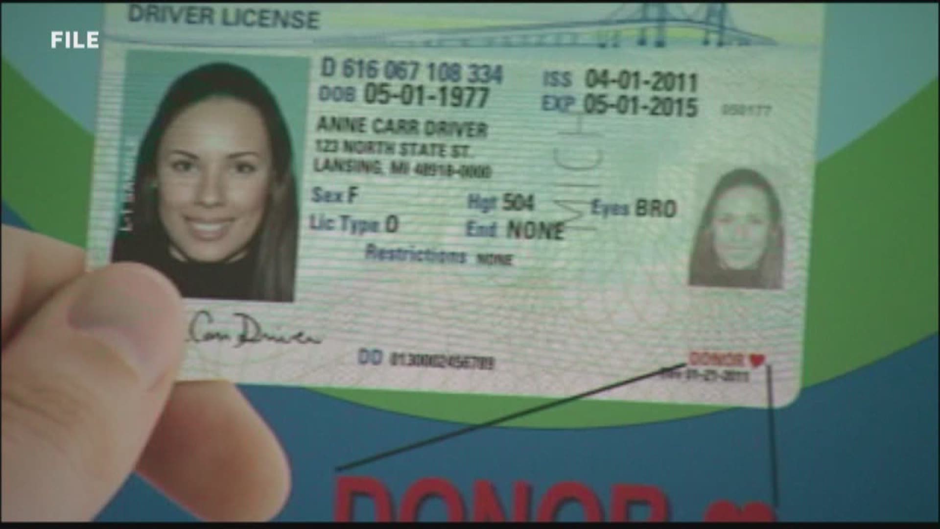Michigan Fake Id