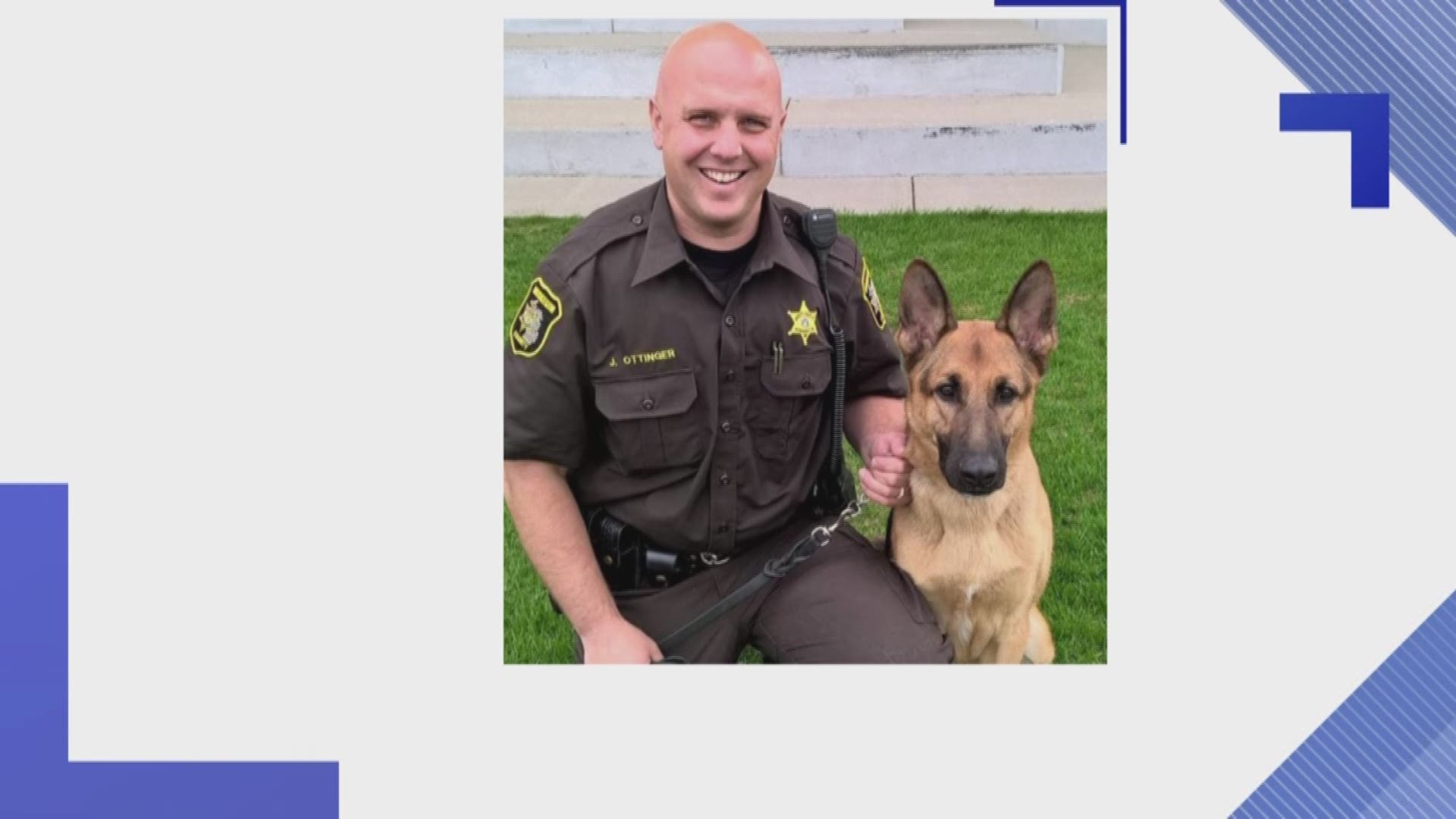 Muskegon County K9 dies from blood cancer | wzzm13.com