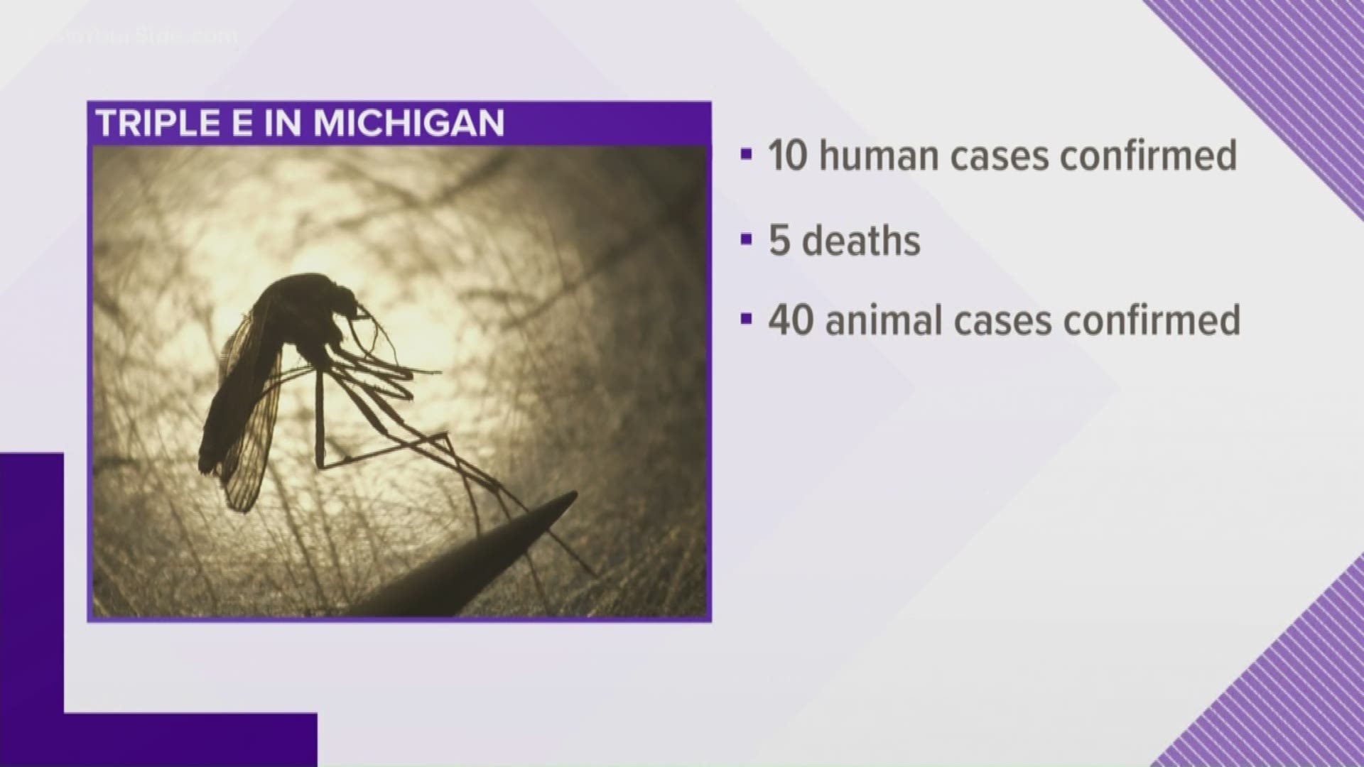State health officials said a 5th person has died from EEE. There have been 10 human cases this year in Michigan.
