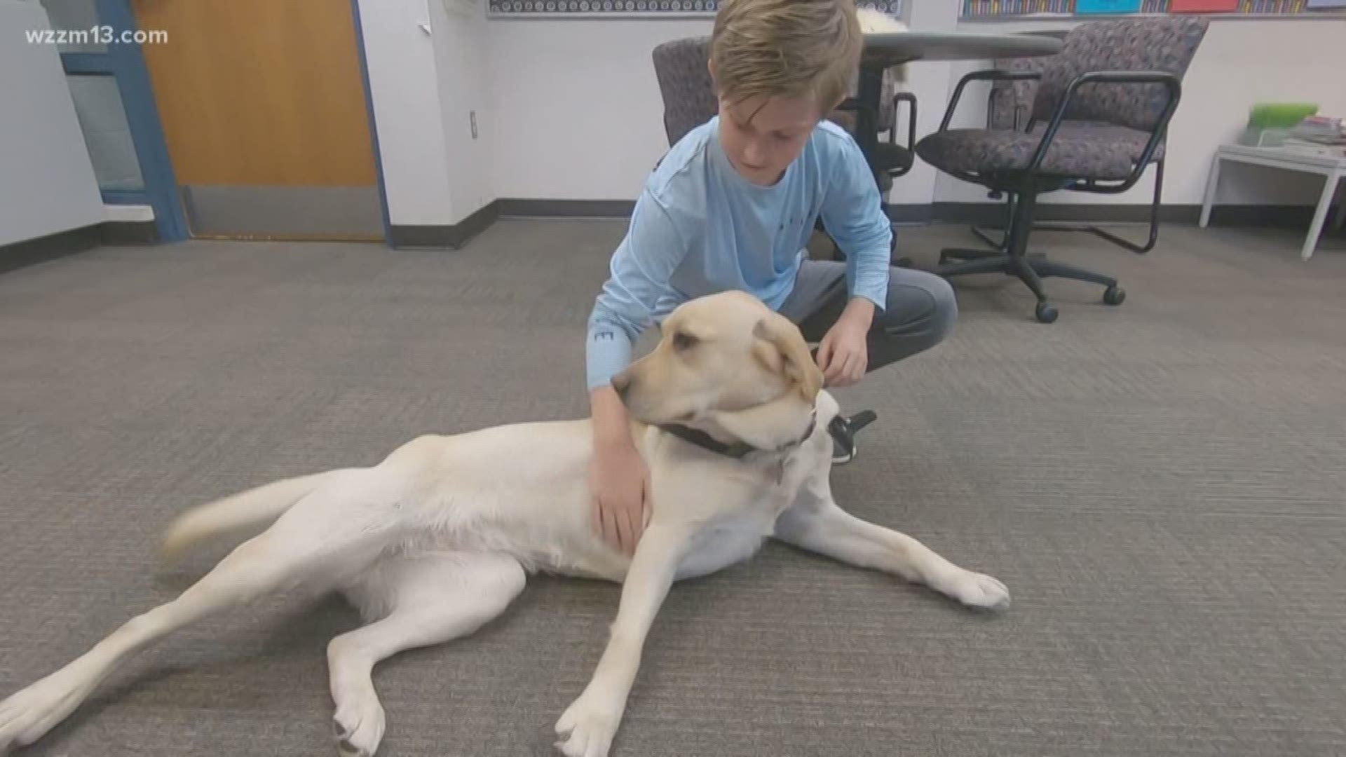 Rockford school gets counseling dog