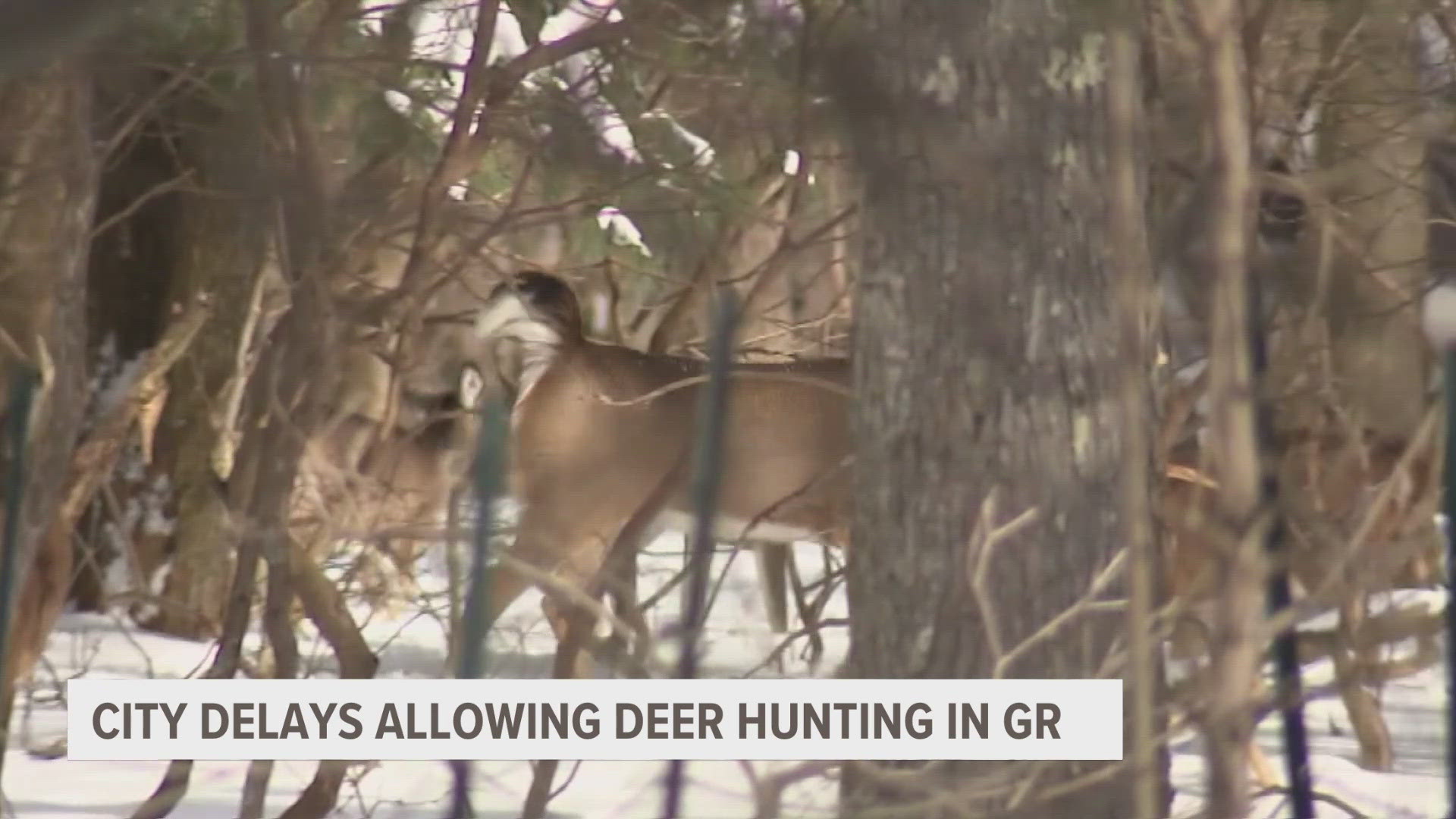 The city commission announced that it is holding off on allowing the urban hunting to begin next month.