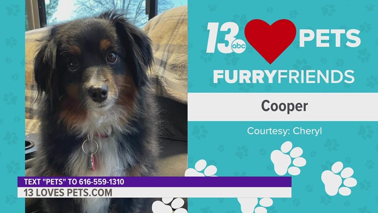 Furry Friends:  June 16, 2022 | Cooper and Frankie & Nara