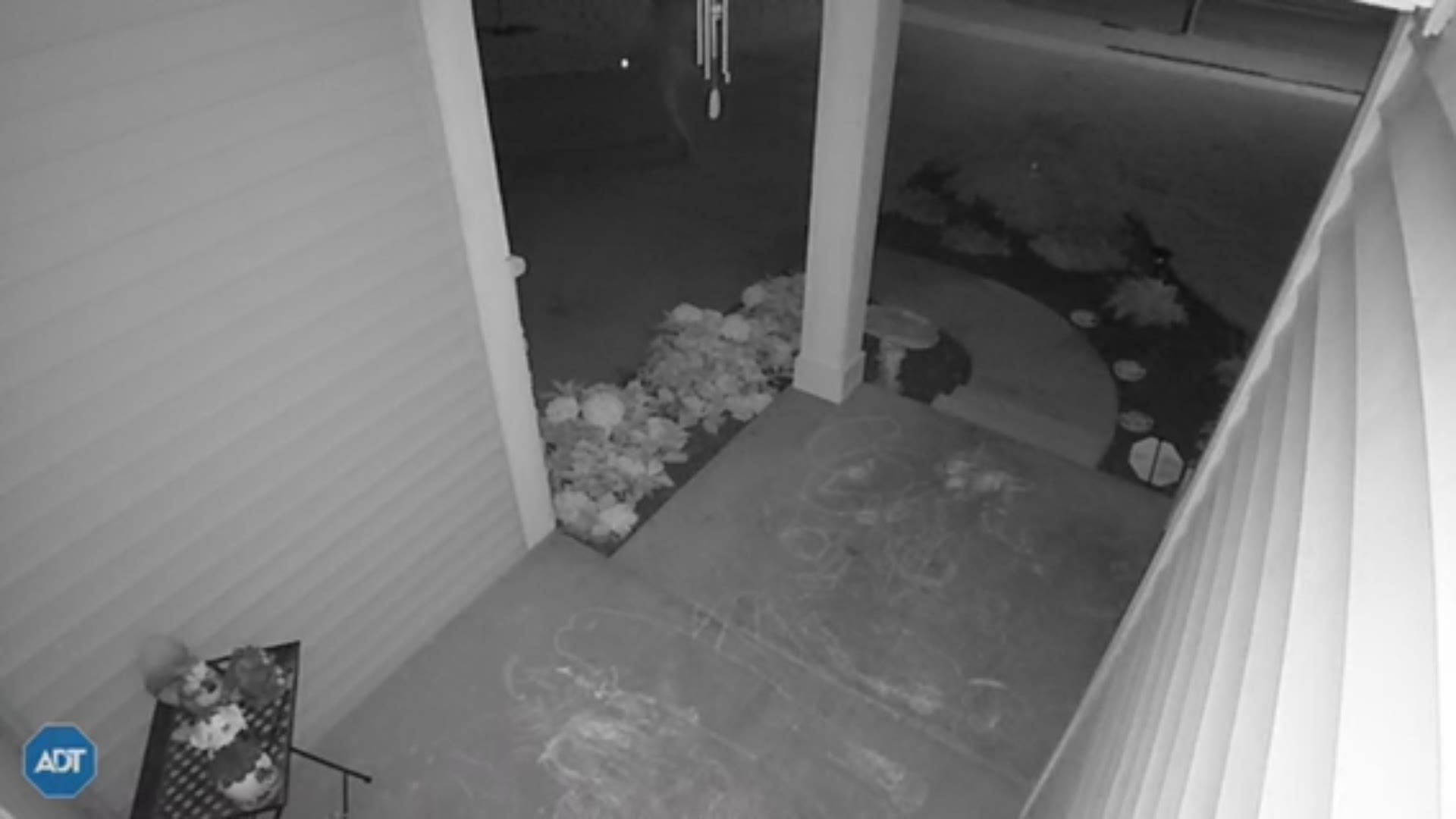 Woman caught on camera stealing from Georgetown Twp. porch
