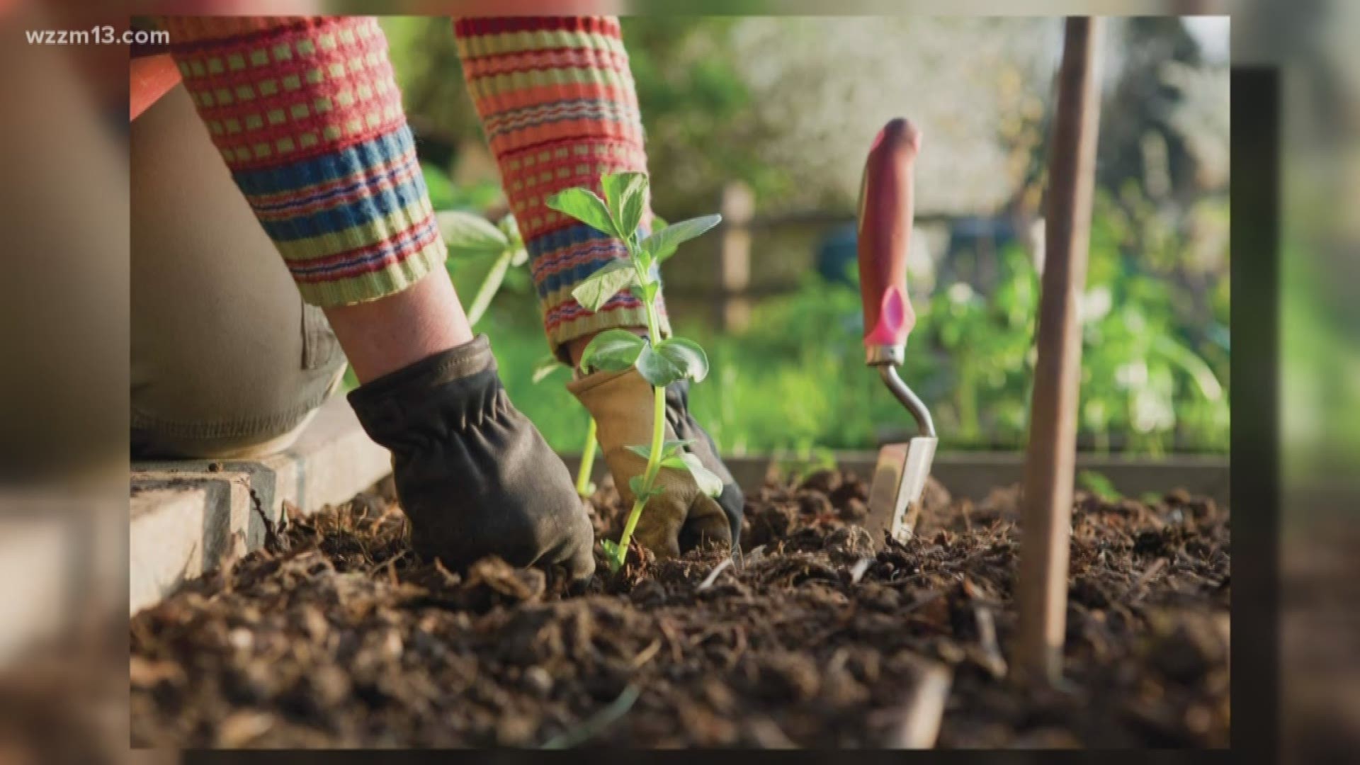 Greenthumb expert Rick Vuyst has some 2019 gardening trends to share.