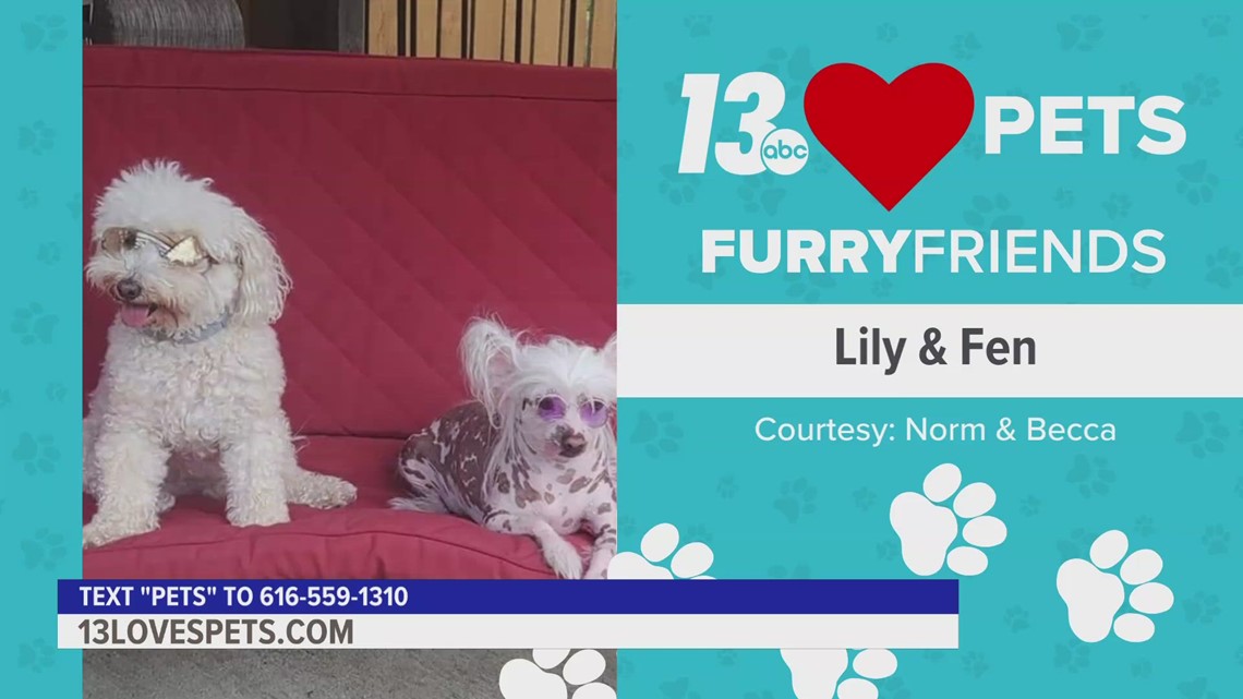 Furry Friends:  May 10, 2023 | Lily & Fen and Stanley