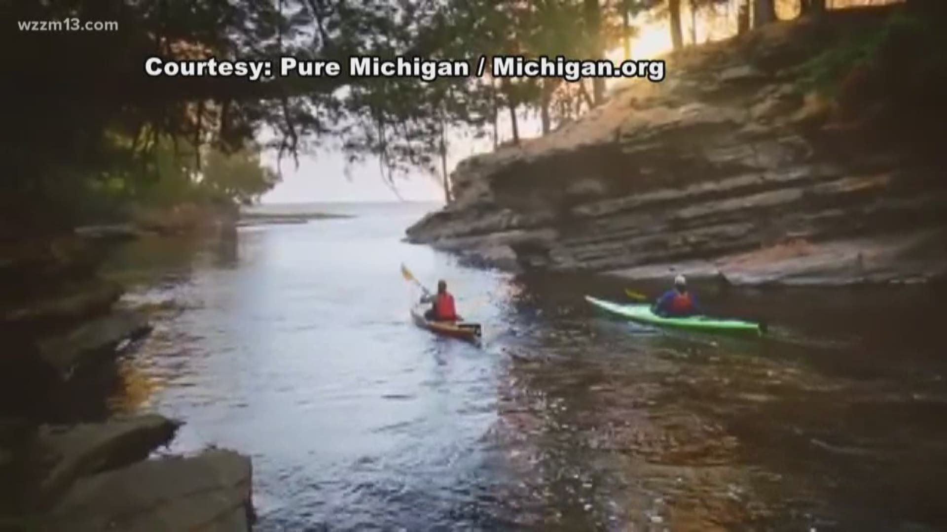 Pure Michigan is releasing an album that blends ambient sounds recorded at state parks with music from Michigan artists. It's called "Pure Sounds of Michigan."