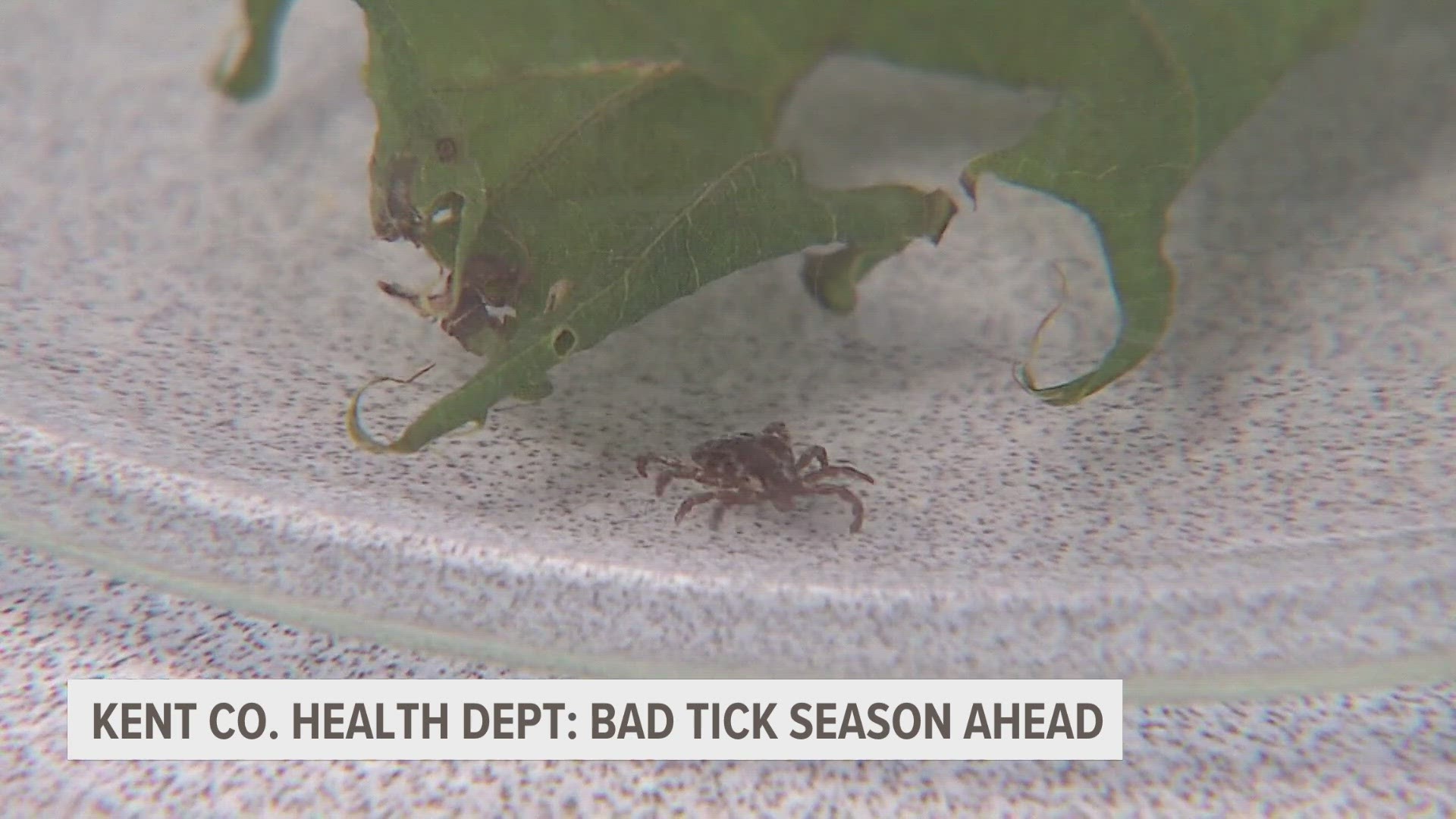 The Kent County Health Department is warning not only are ticks returning earlier, but there will be more than usual.