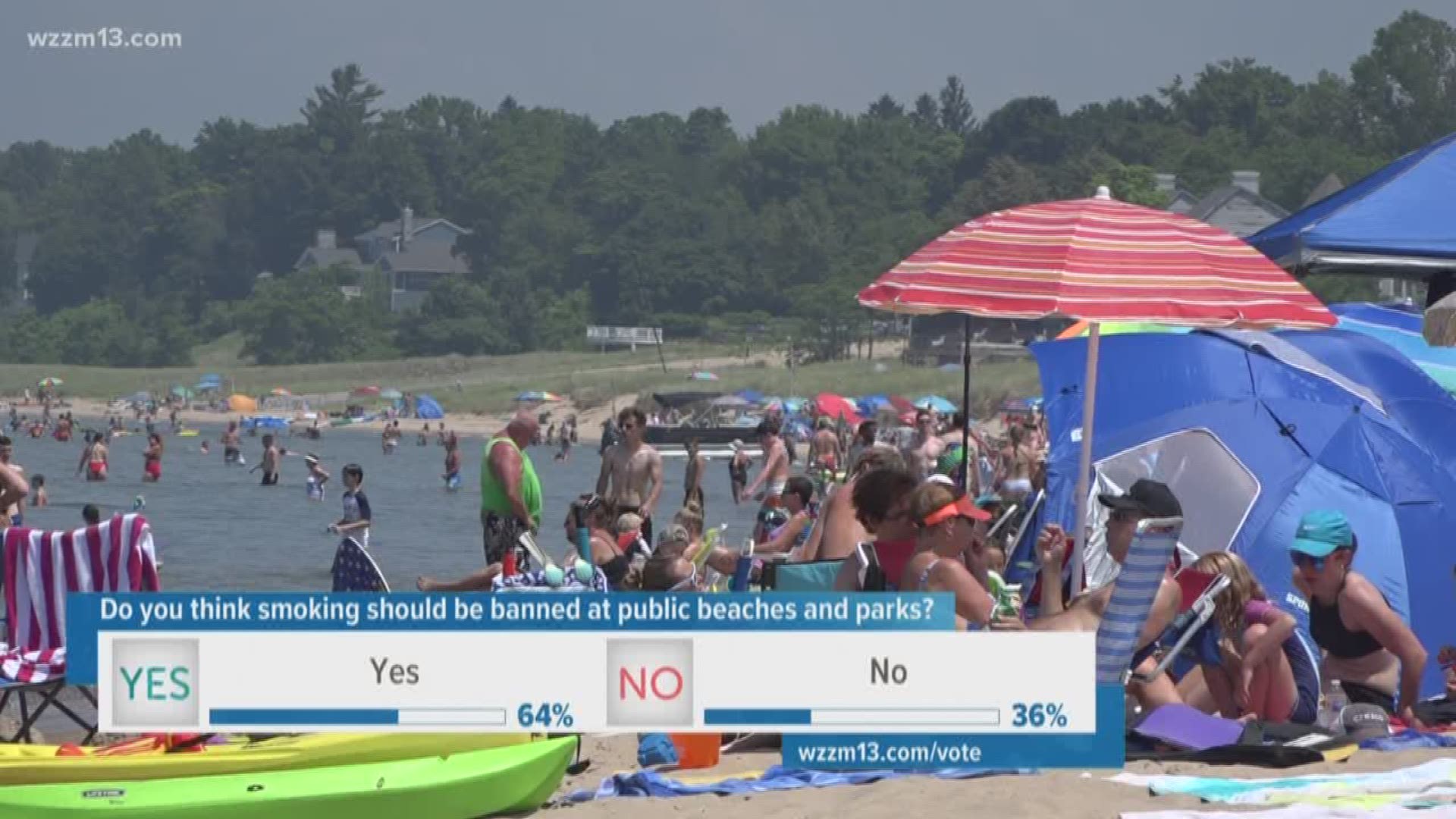 Should smoking be banned at beaches and parks?