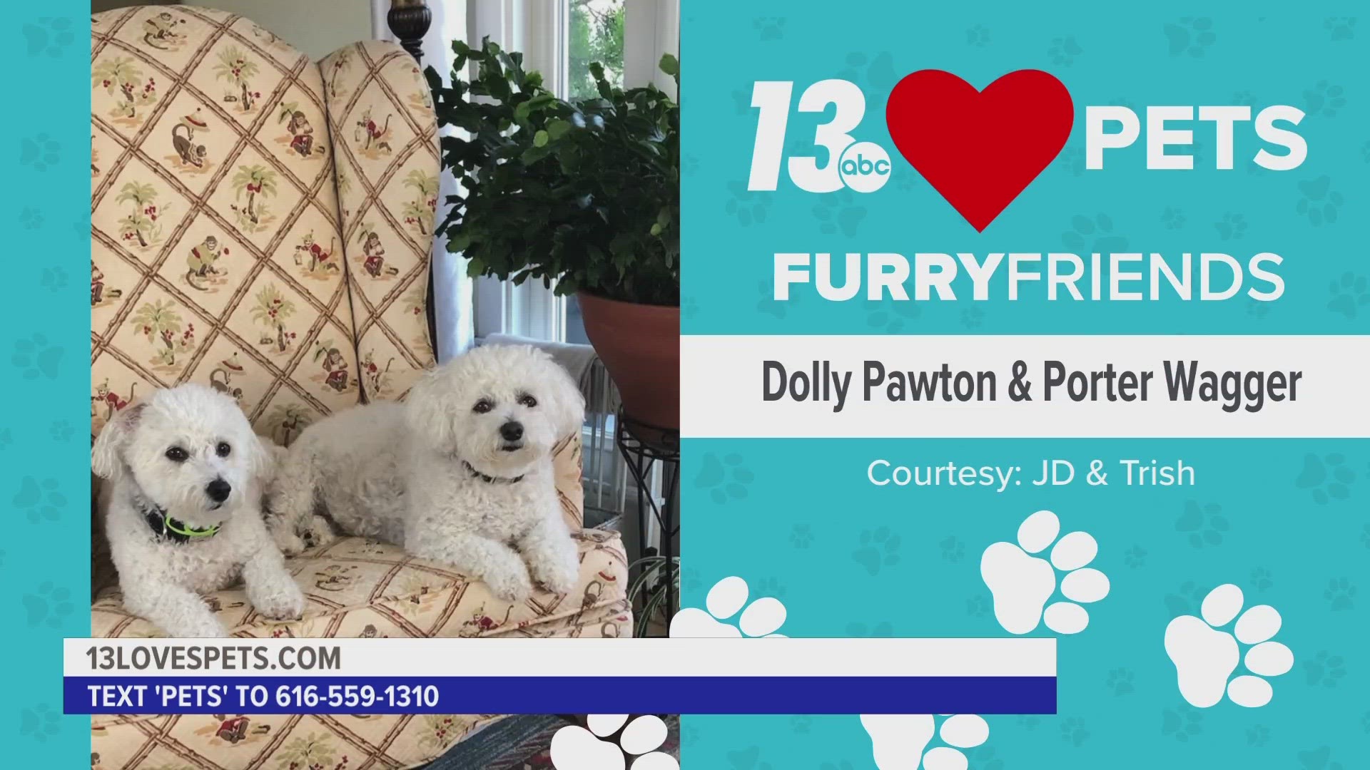 13 LOVES PETS!