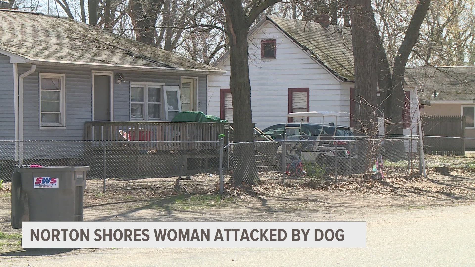 The woman was attacked Monday morning by a dog her son brought home.
