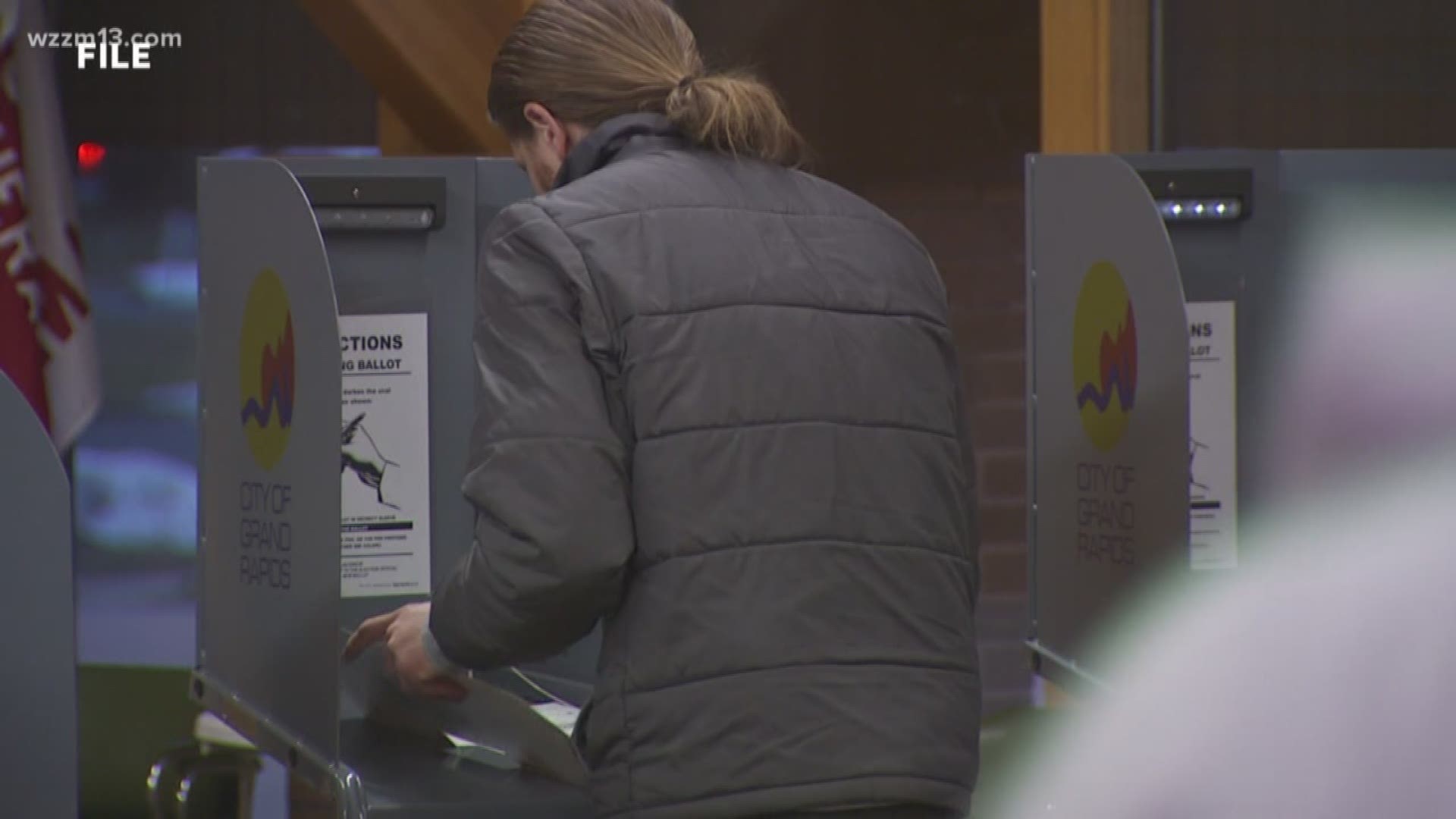 New election audit system coming to Michigan