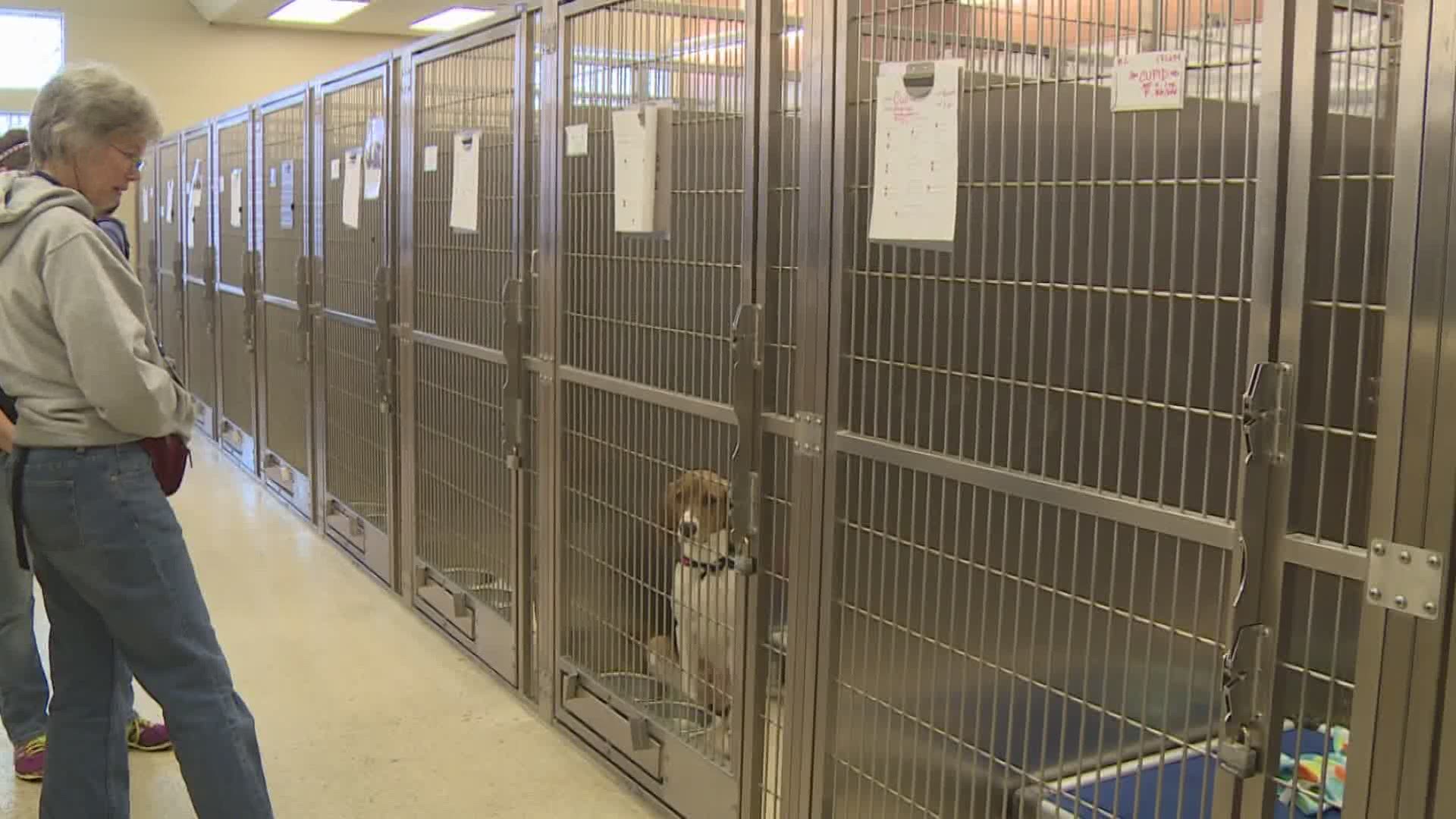 Adoption fees fees for adult dogs, cats, and kittens have been reduced to $25.
